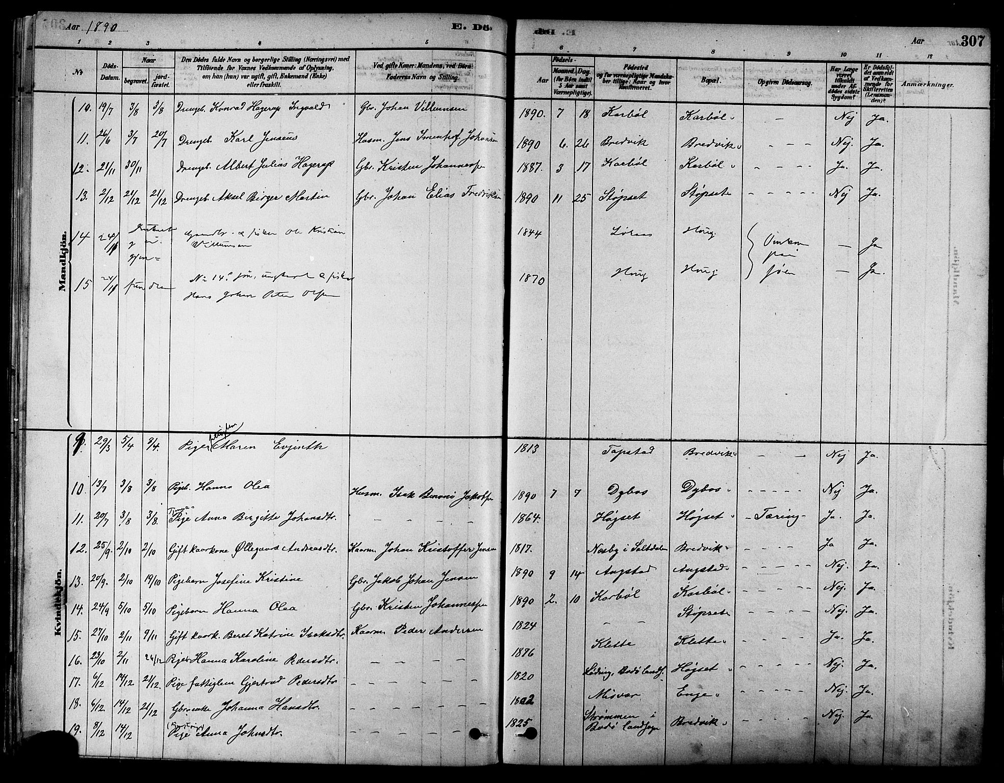 Ministerialprotokoller, klokkerbøker og fødselsregistre - Nordland, AV/SAT-A-1459/852/L0740: Parish register (official) no. 852A10, 1878-1894, p. 307