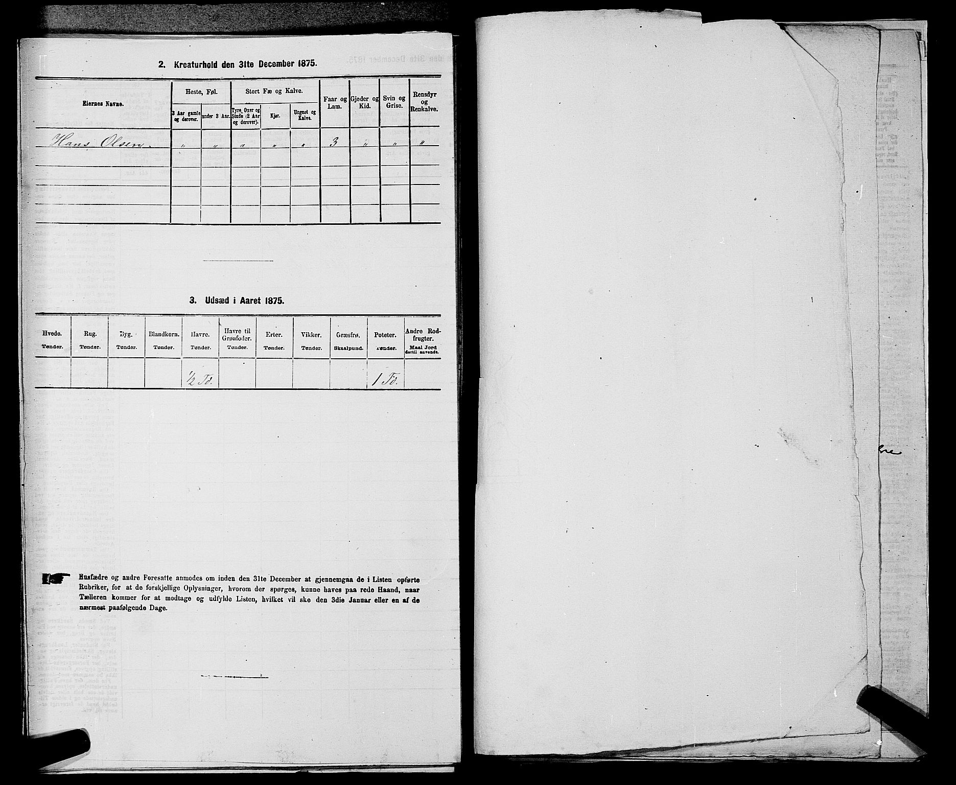 RA, 1875 census for 0238P Nannestad, 1875, p. 203