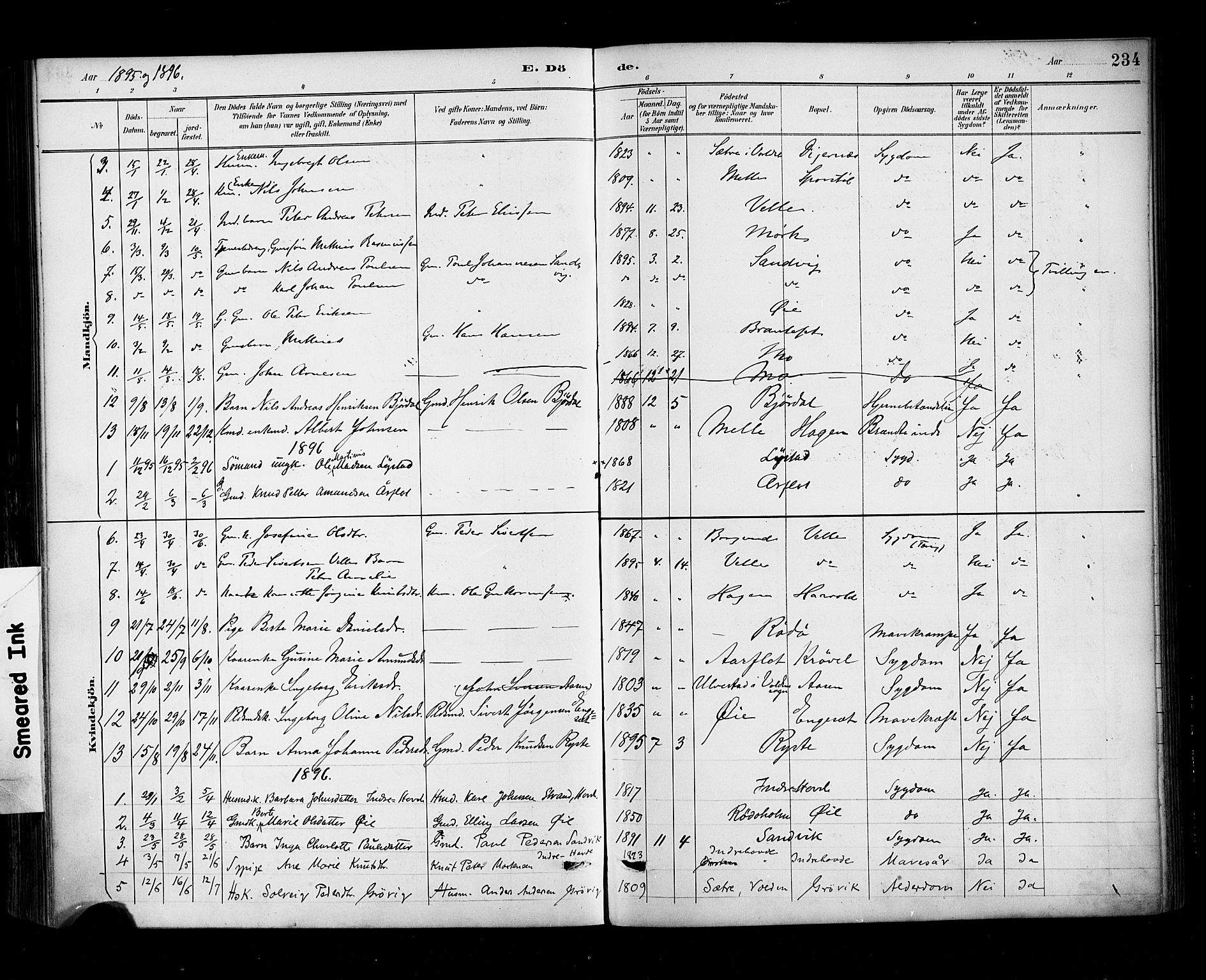 Ministerialprotokoller, klokkerbøker og fødselsregistre - Møre og Romsdal, AV/SAT-A-1454/513/L0177: Parish register (official) no. 513A04, 1890-1906, p. 234