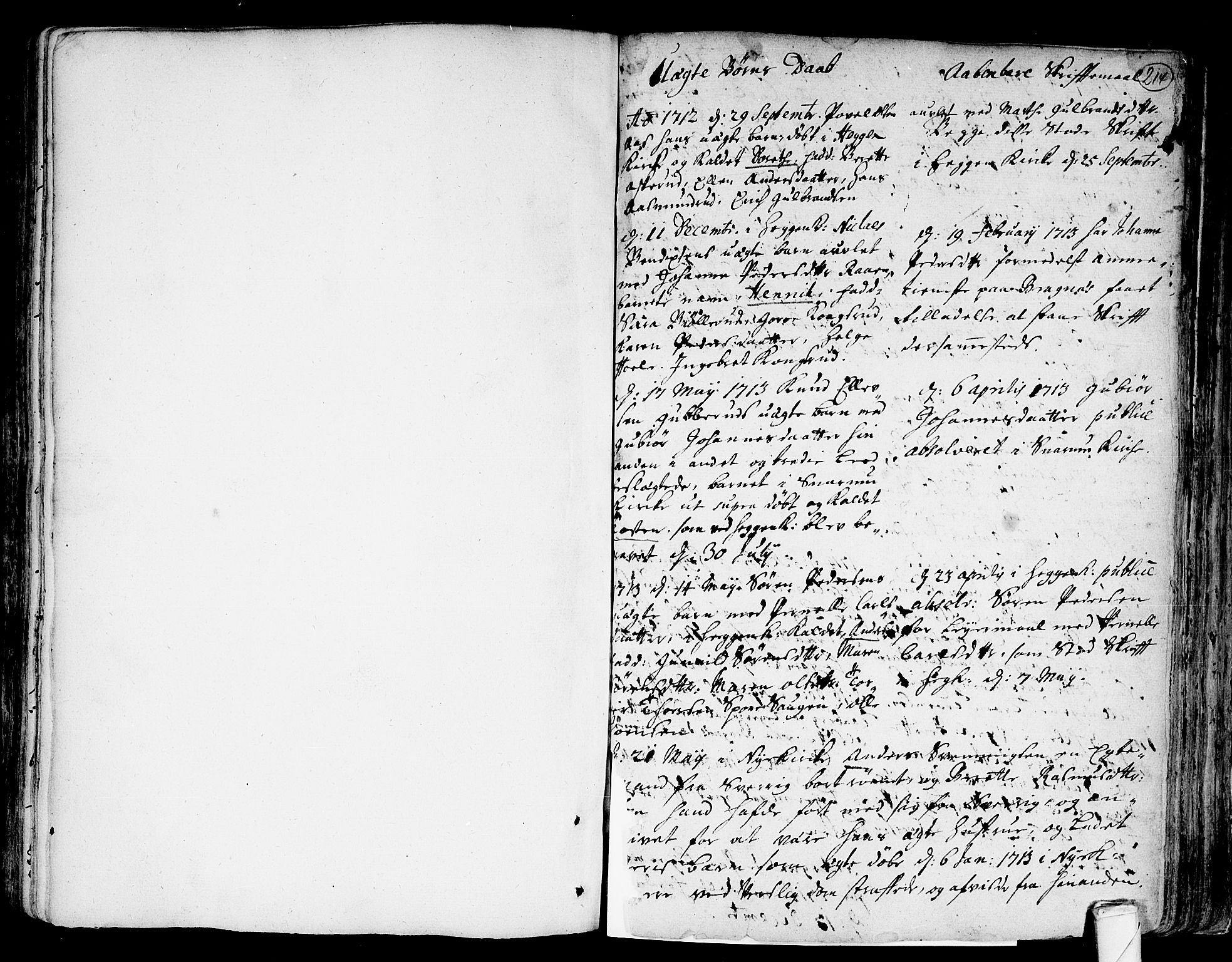 Modum kirkebøker, SAKO/A-234/F/Fa/L0001: Parish register (official) no. 1, 1712-1740, p. 214