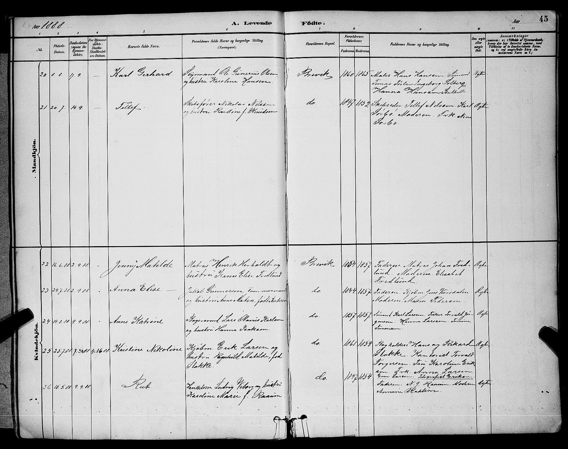 Brevik kirkebøker, AV/SAKO-A-255/G/Ga/L0004: Parish register (copy) no. 4, 1882-1900, p. 45