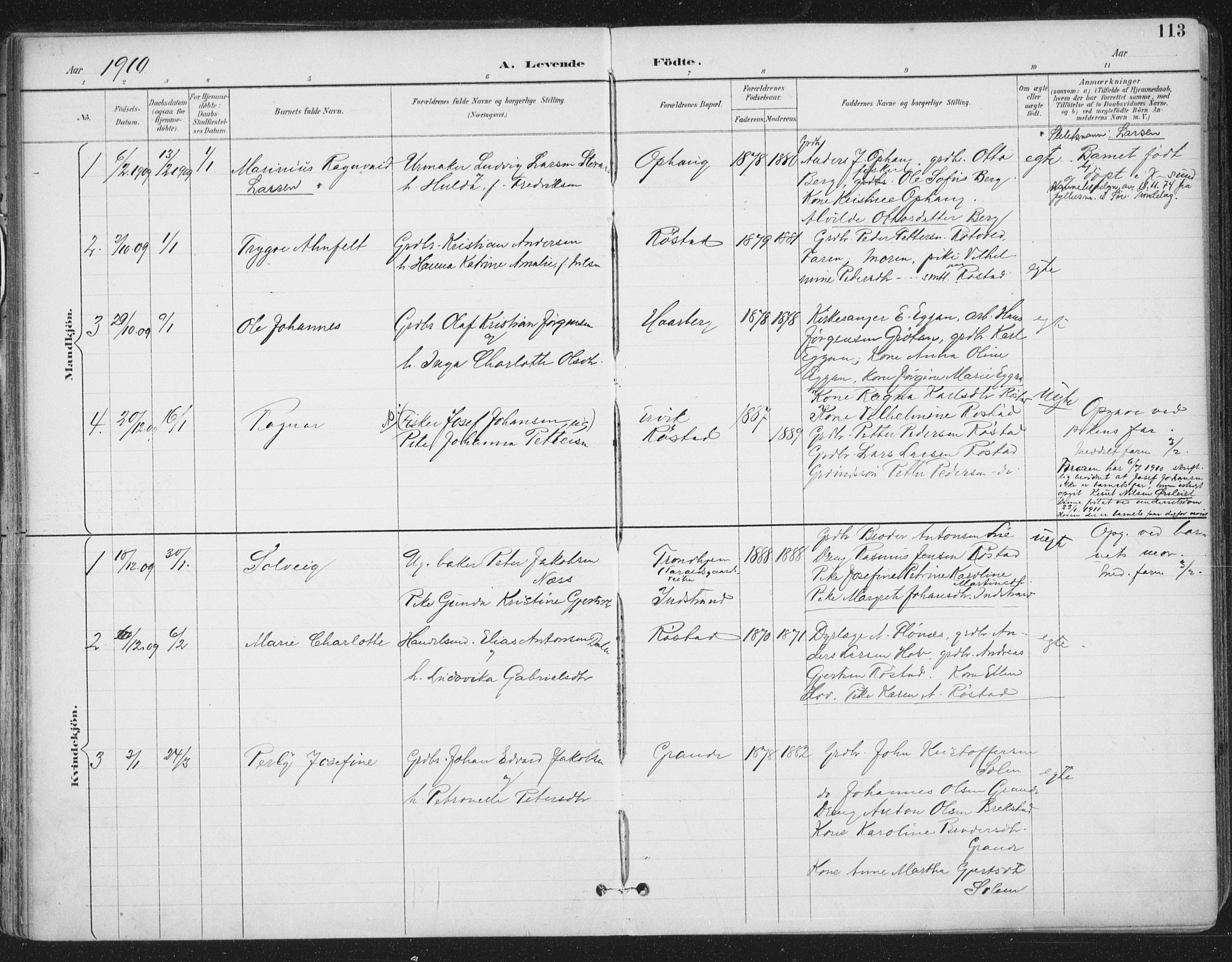 Ministerialprotokoller, klokkerbøker og fødselsregistre - Sør-Trøndelag, SAT/A-1456/659/L0743: Parish register (official) no. 659A13, 1893-1910, p. 113