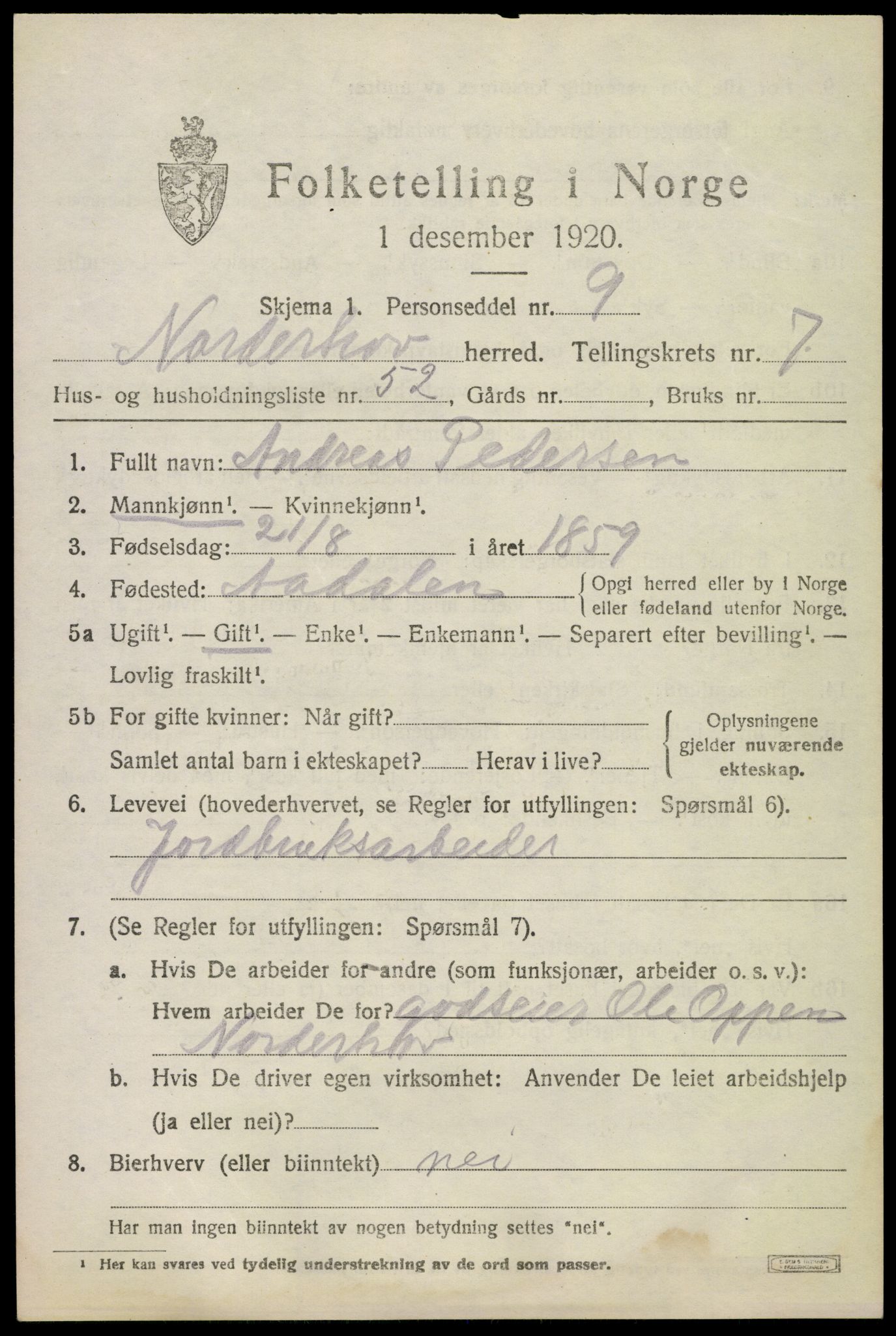 SAKO, 1920 census for Norderhov, 1920, p. 9993