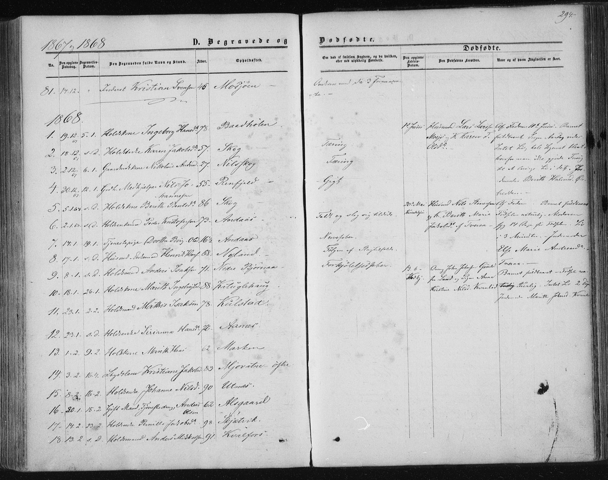 Ministerialprotokoller, klokkerbøker og fødselsregistre - Nordland, AV/SAT-A-1459/820/L0294: Parish register (official) no. 820A15, 1866-1879, p. 294