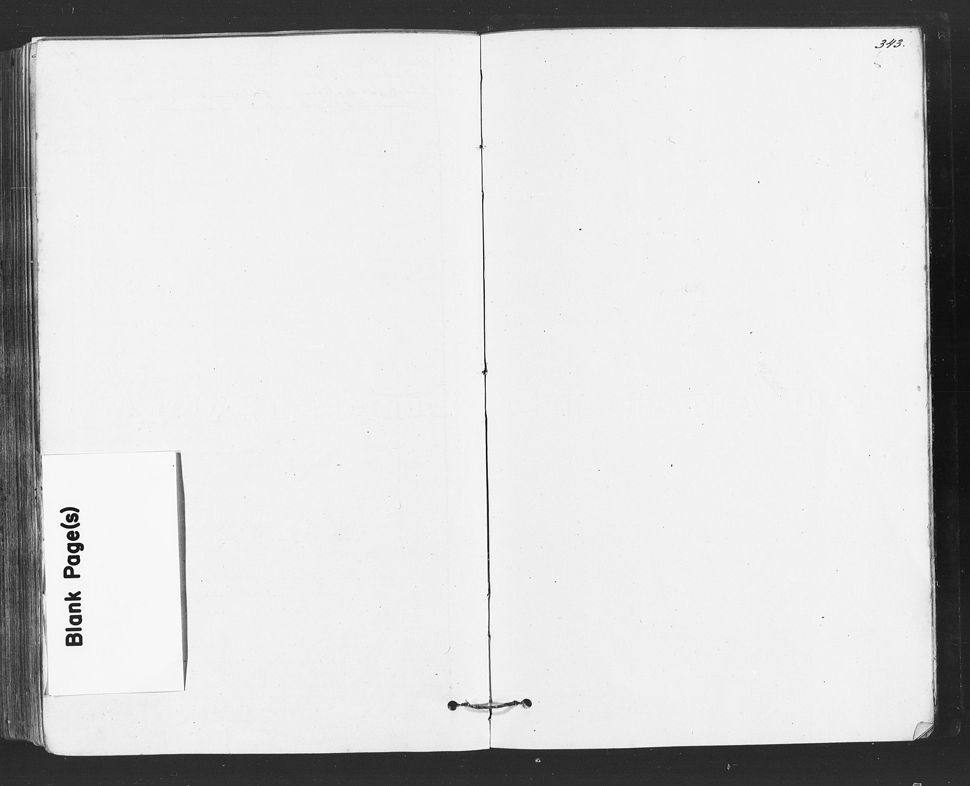 Tune prestekontor Kirkebøker, AV/SAO-A-2007/F/Fa/L0016: Parish register (official) no. 16, 1874-1877, p. 343