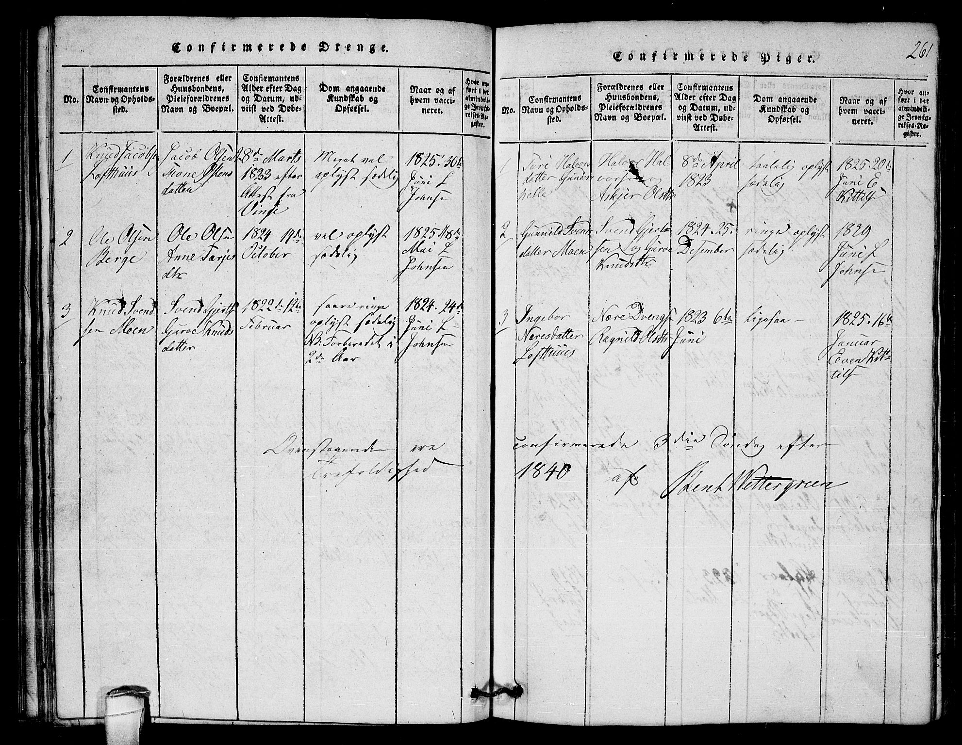 Lårdal kirkebøker, SAKO/A-284/G/Gb/L0001: Parish register (copy) no. II 1, 1815-1865, p. 261
