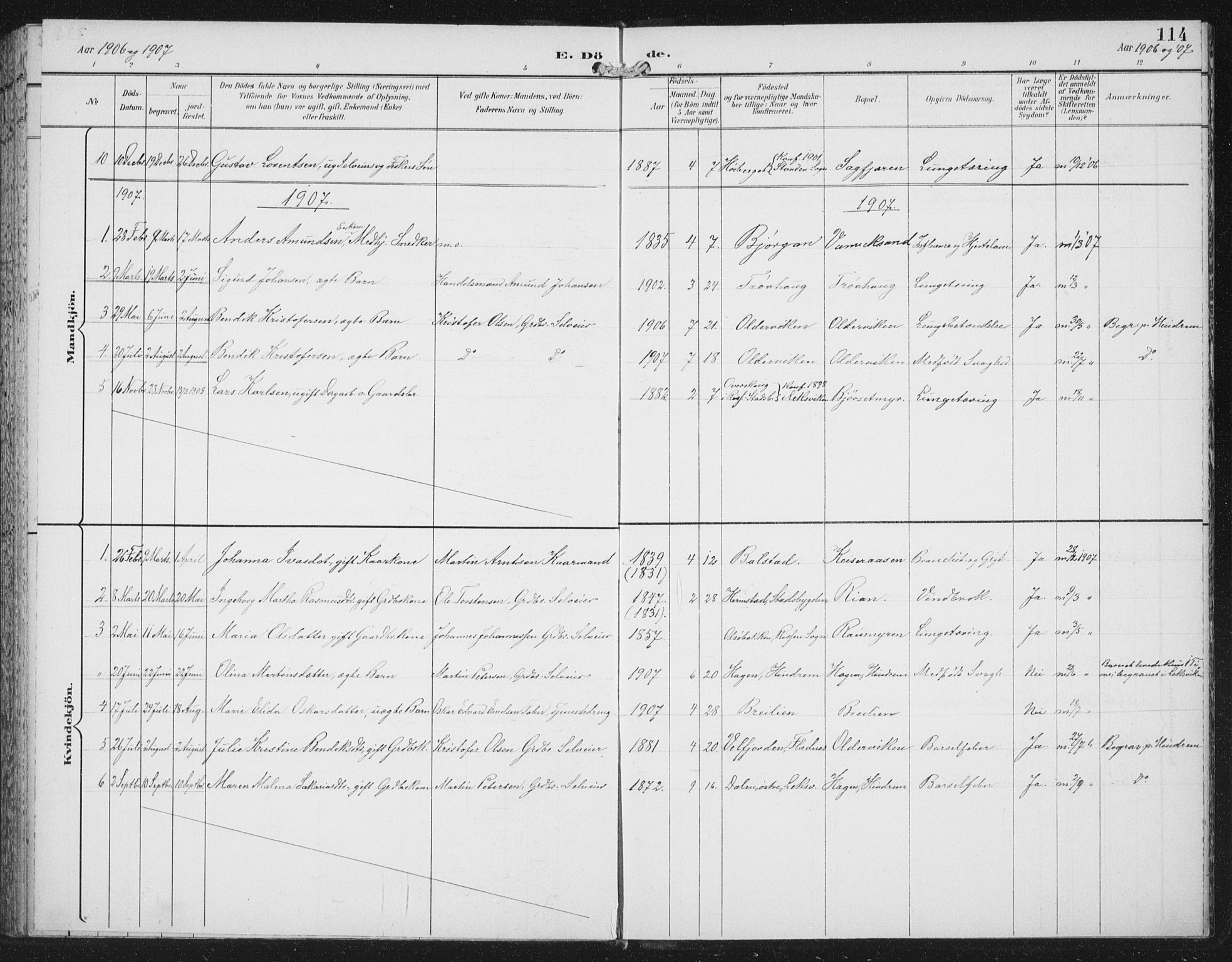 Ministerialprotokoller, klokkerbøker og fødselsregistre - Nord-Trøndelag, SAT/A-1458/702/L0024: Parish register (official) no. 702A02, 1898-1914, p. 114