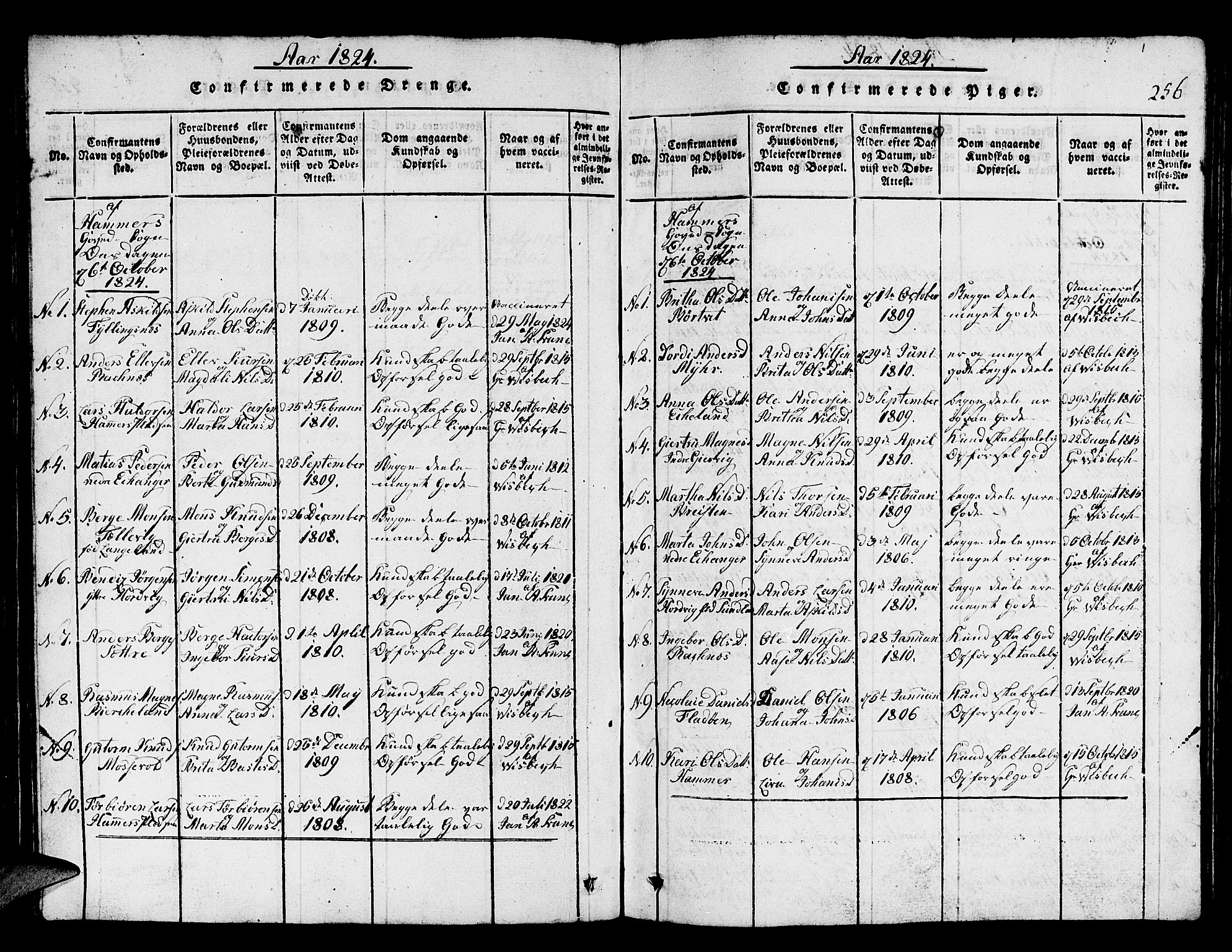 Hamre sokneprestembete, AV/SAB-A-75501/H/Ha/Hab: Parish register (copy) no. A 1, 1816-1826, p. 256