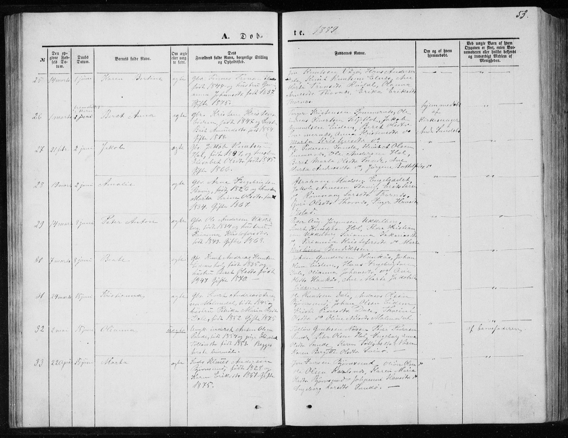 Ministerialprotokoller, klokkerbøker og fødselsregistre - Møre og Romsdal, AV/SAT-A-1454/565/L0754: Parish register (copy) no. 565C03, 1870-1896, p. 53