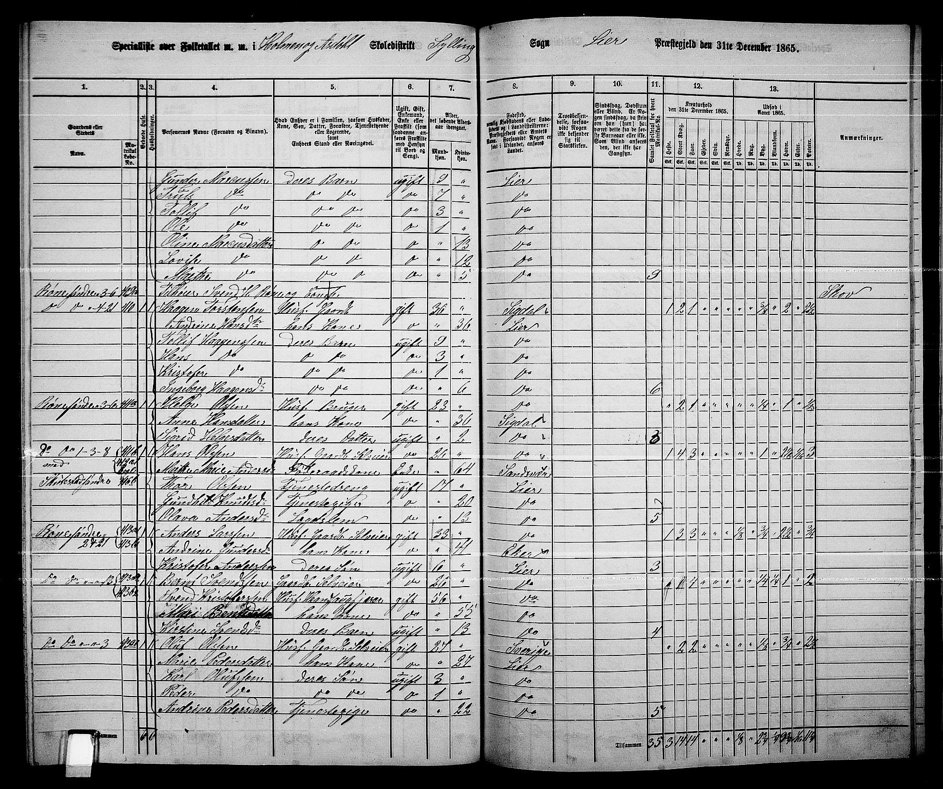 RA, 1865 census for Lier, 1865, p. 234