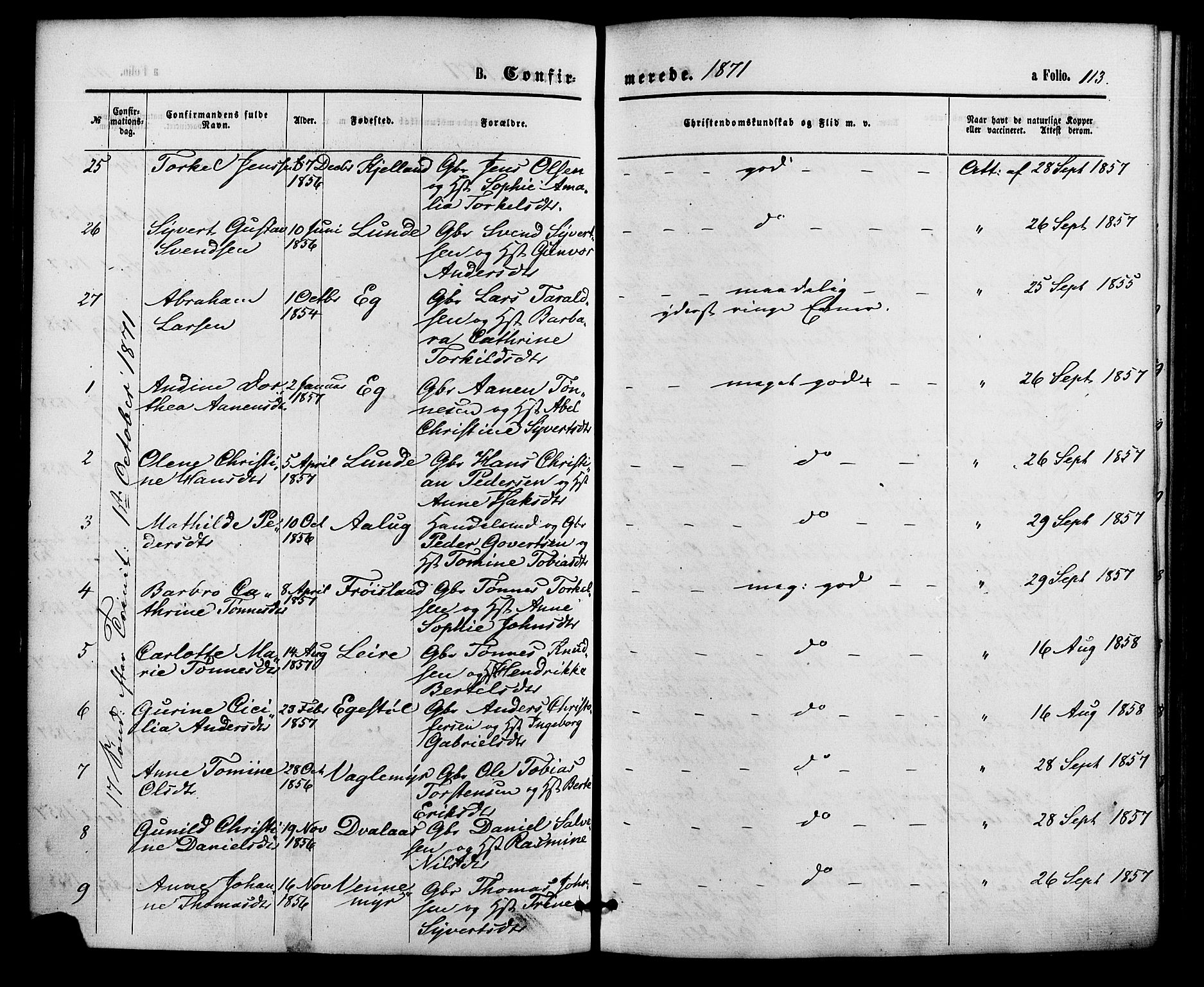 Søgne sokneprestkontor, AV/SAK-1111-0037/F/Fa/Fab/L0011: Parish register (official) no. A 11, 1869-1879, p. 113