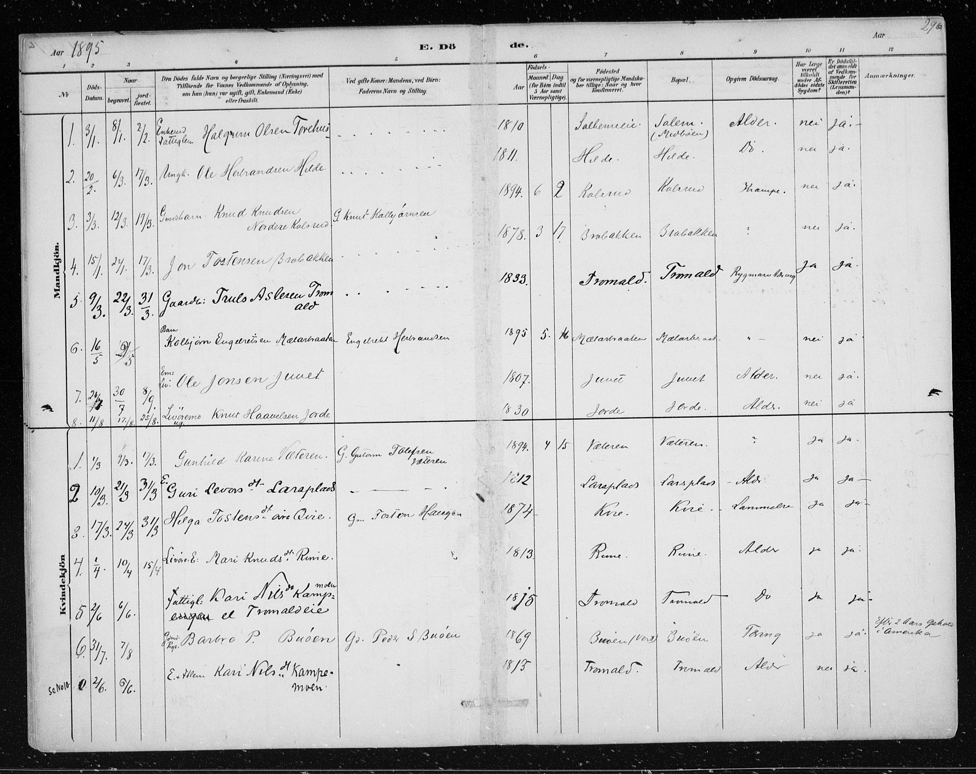 Nes kirkebøker, SAKO/A-236/F/Fa/L0012: Parish register (official) no. 12, 1881-1917, p. 296