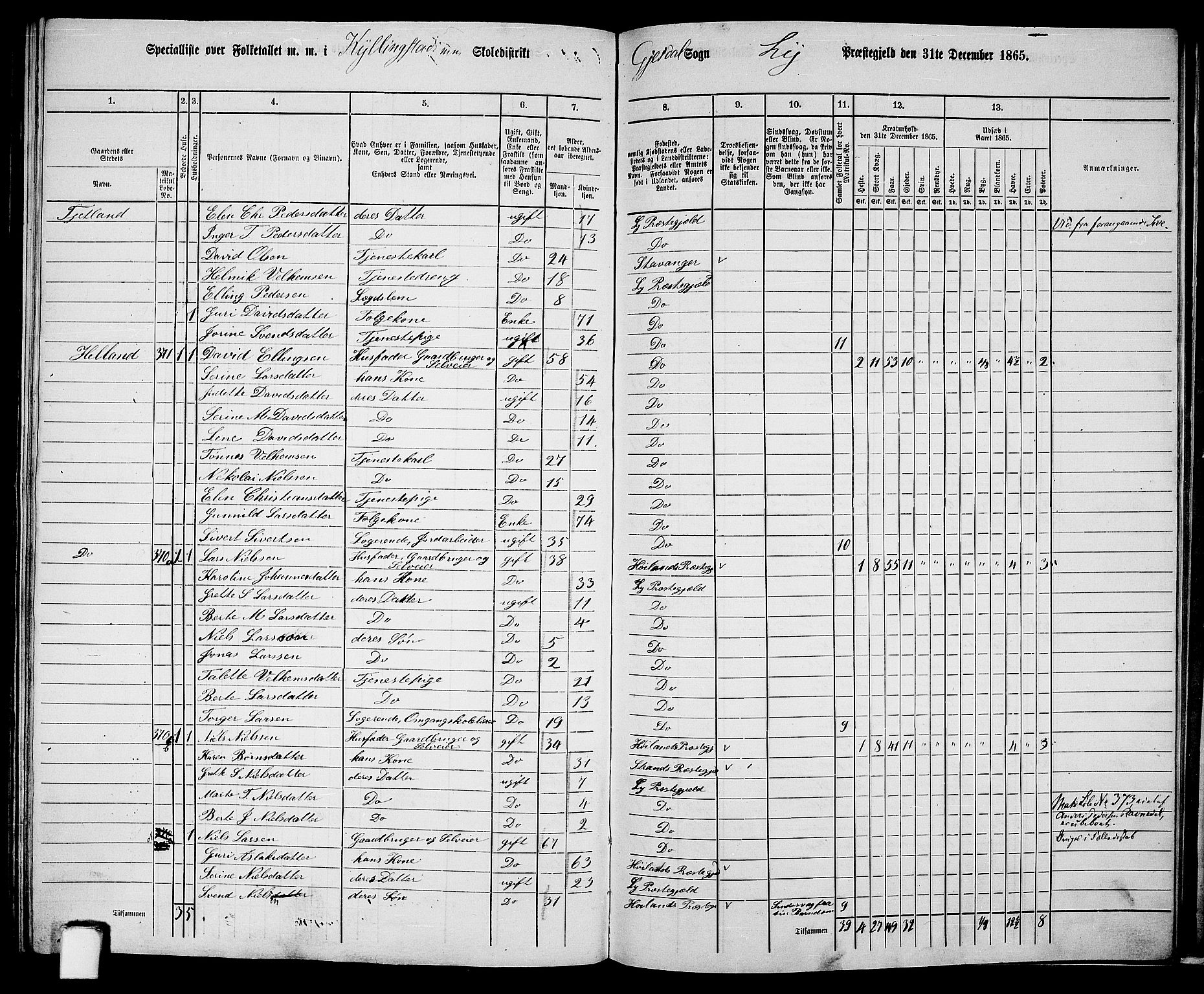 RA, 1865 census for Lye, 1865, p. 136