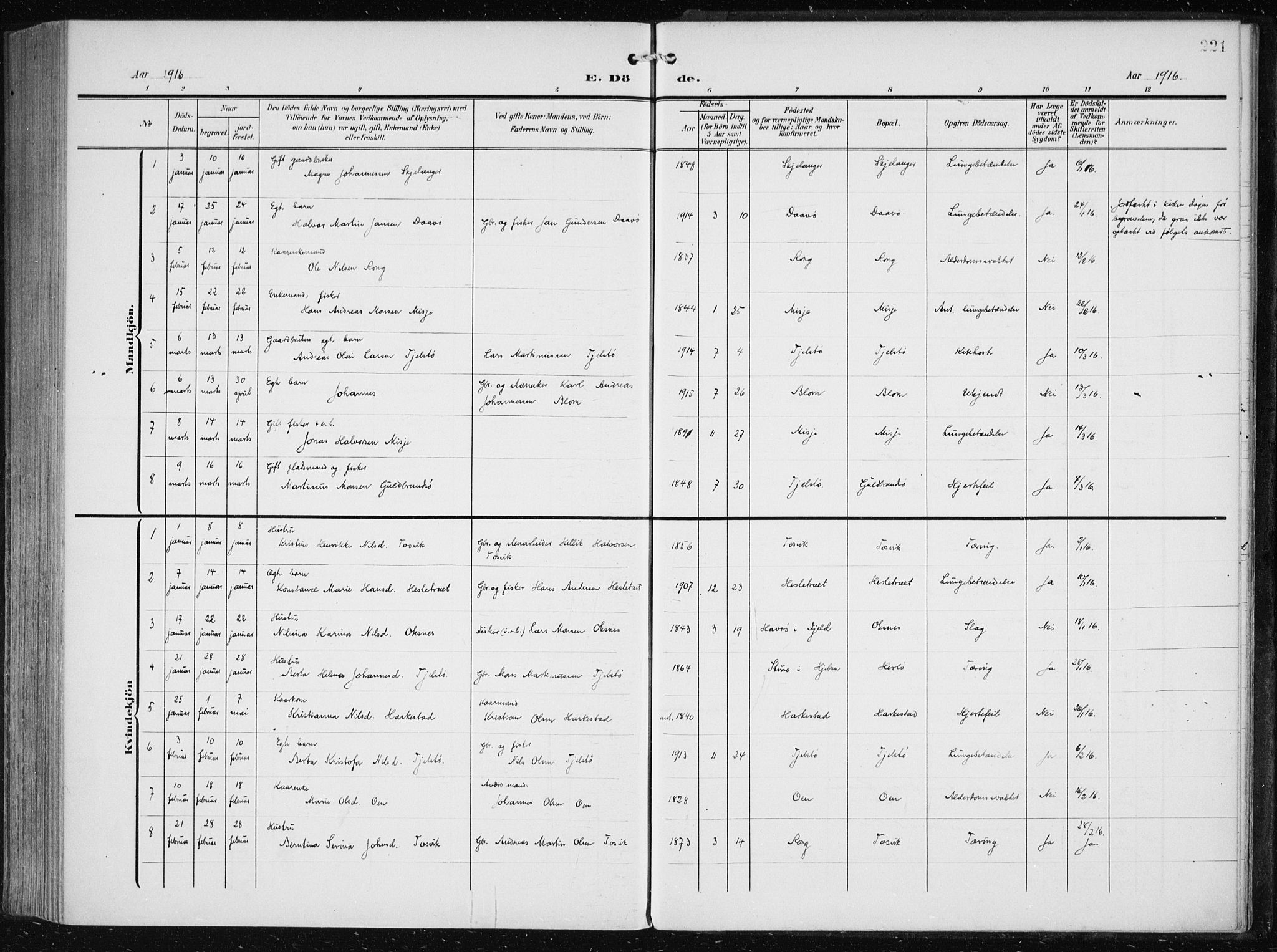 Herdla Sokneprestembete, AV/SAB-A-75701/H/Haa: Parish register (official) no. A 5, 1905-1918, p. 221