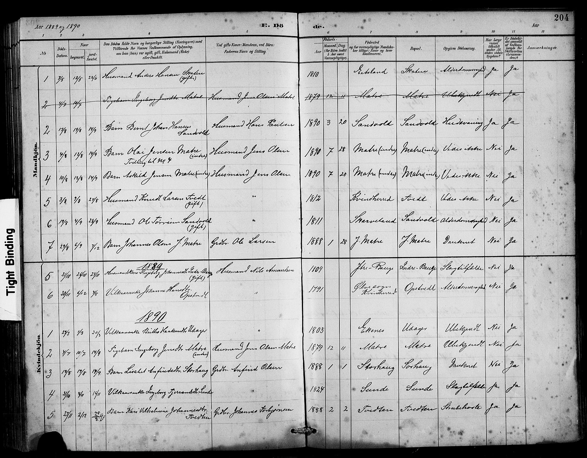 Husnes Sokneprestembete, SAB/A-75901/H/Hab: Parish register (copy) no. B 2, 1884-1914, p. 204