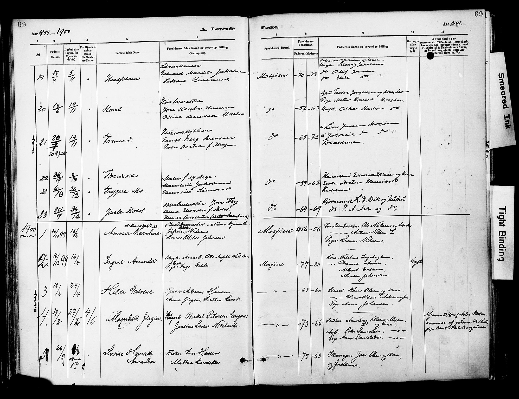 Ministerialprotokoller, klokkerbøker og fødselsregistre - Nordland, SAT/A-1459/820/L0296: Parish register (official) no. 820A17, 1880-1903, p. 69