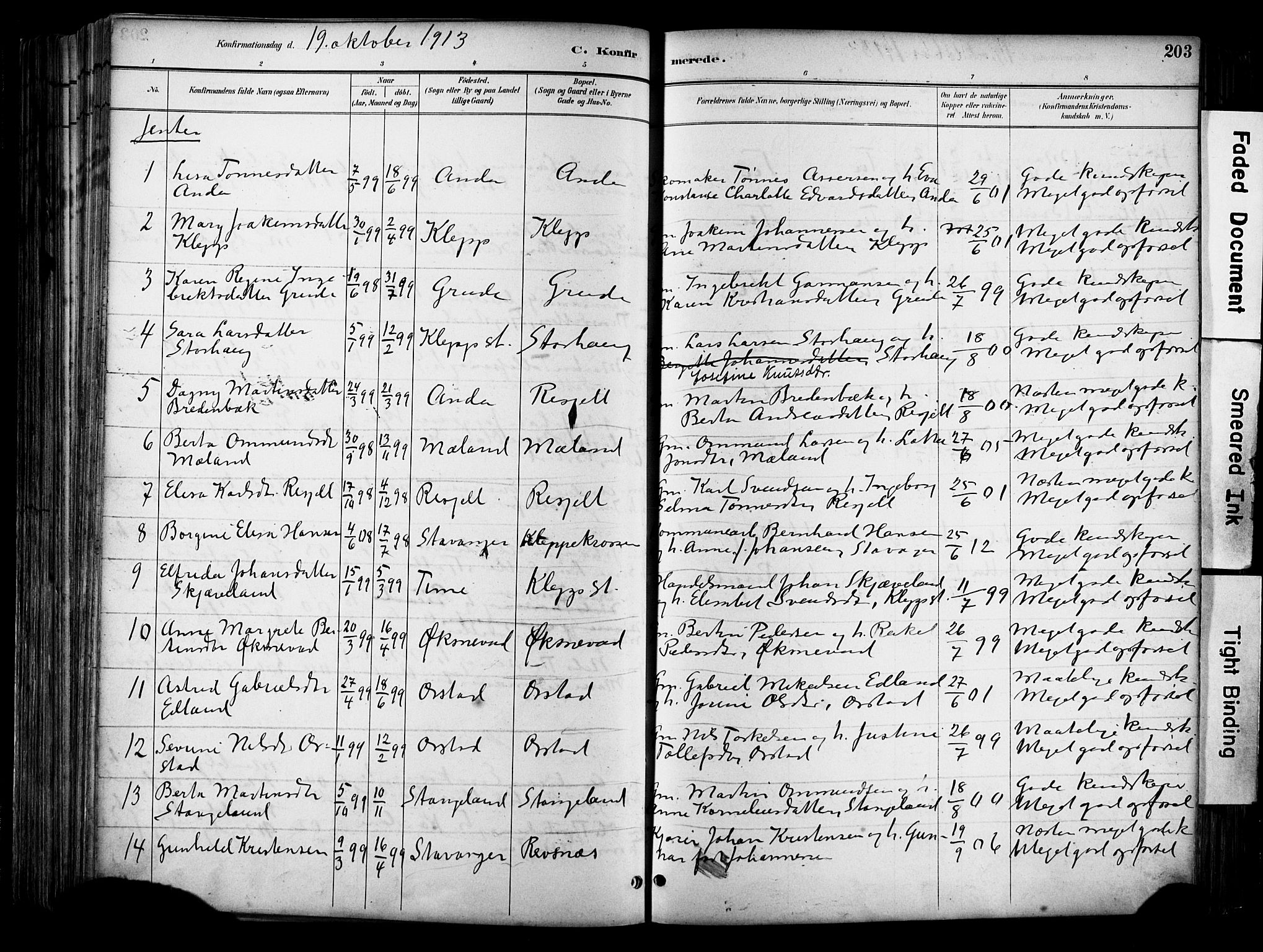 Klepp sokneprestkontor, SAST/A-101803/001/3/30BA/L0009: Parish register (official) no. A 7, 1886-1915, p. 203