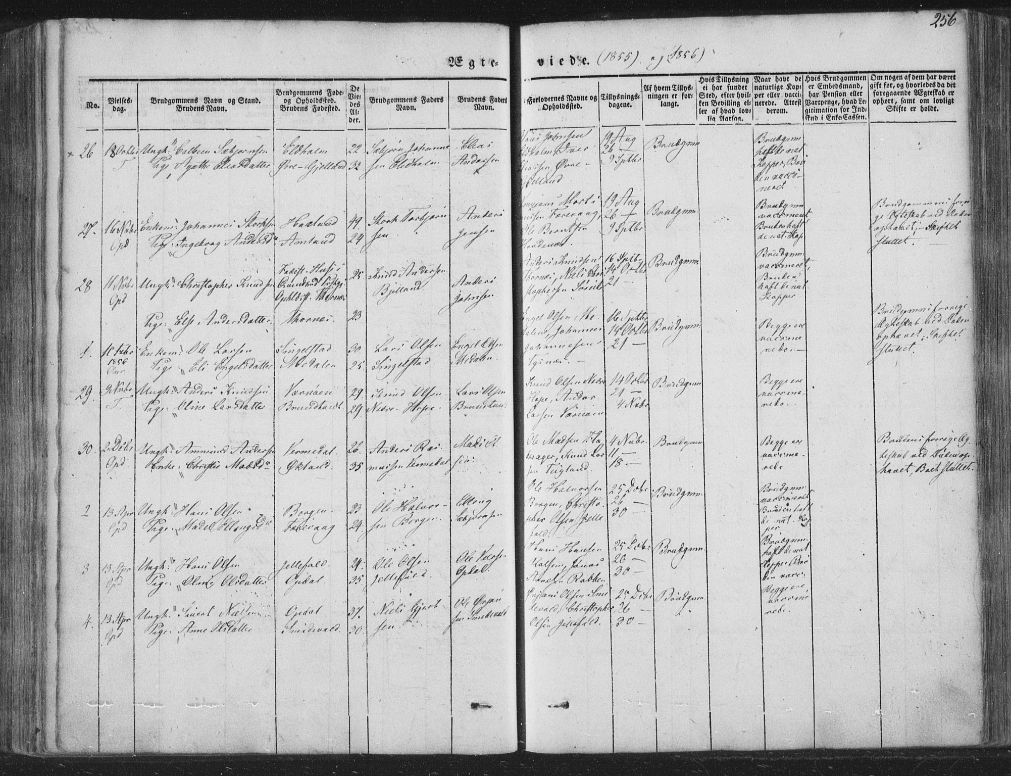 Tysnes sokneprestembete, AV/SAB-A-78601/H/Haa: Parish register (official) no. A 10, 1848-1859, p. 256