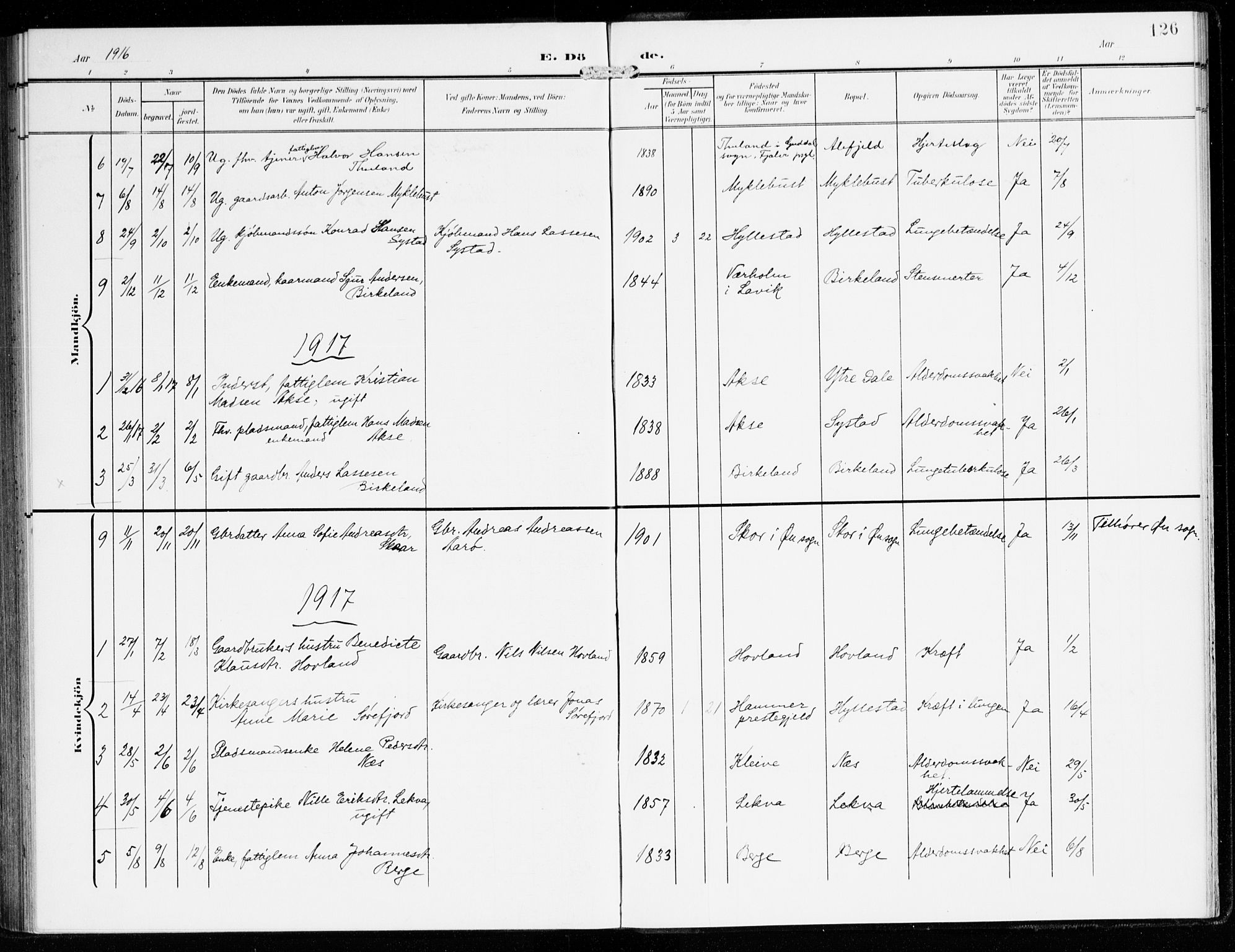 Hyllestad sokneprestembete, SAB/A-80401: Parish register (official) no. B 2, 1903-1917, p. 126