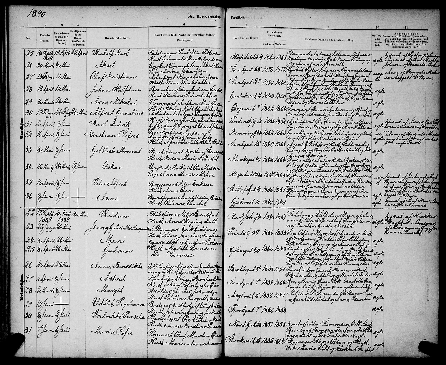 Ministerialprotokoller, klokkerbøker og fødselsregistre - Sør-Trøndelag, AV/SAT-A-1456/602/L0143: Parish register (copy) no. 602C11, 1878-1902