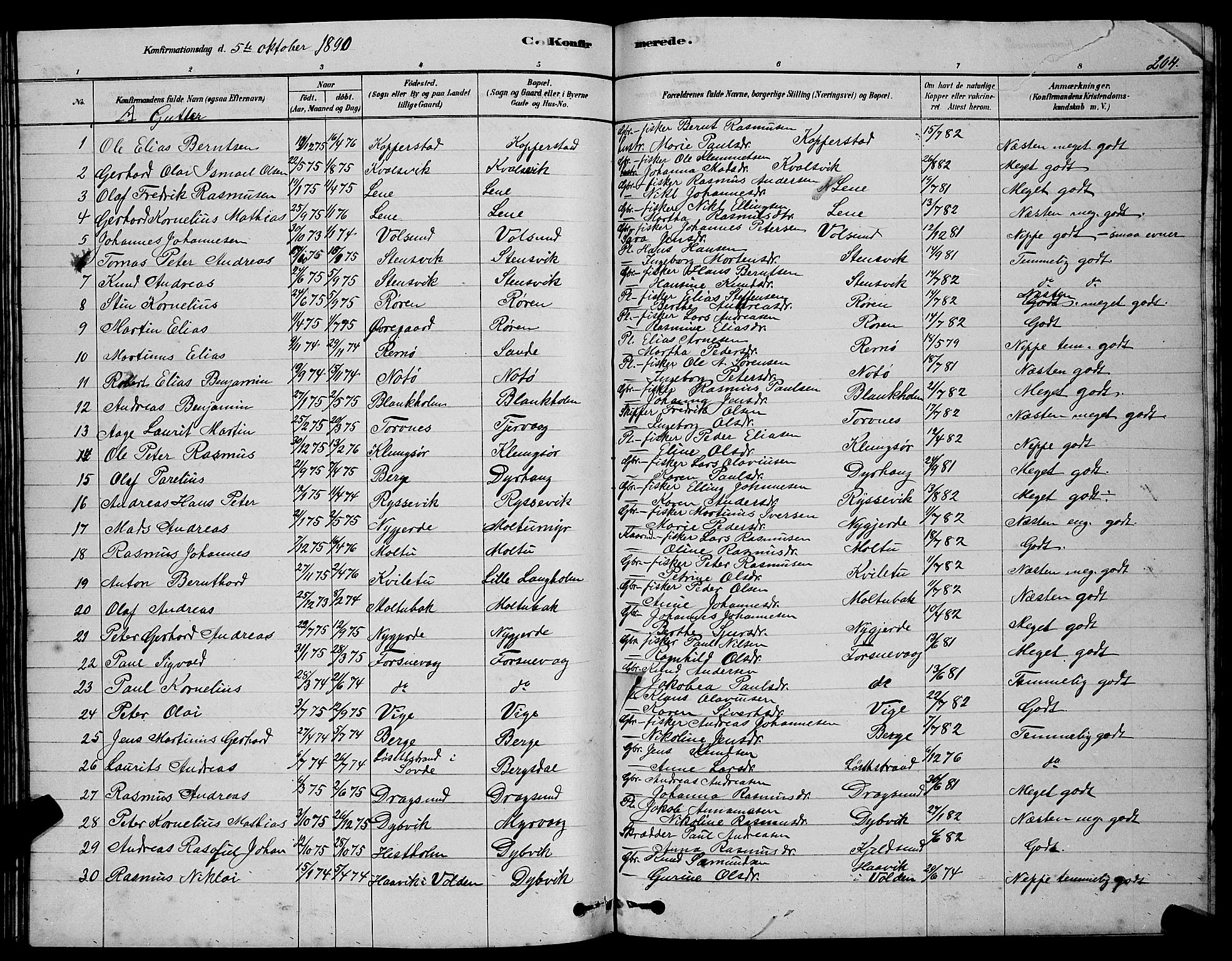 Ministerialprotokoller, klokkerbøker og fødselsregistre - Møre og Romsdal, AV/SAT-A-1454/507/L0081: Parish register (copy) no. 507C04, 1878-1898, p. 204