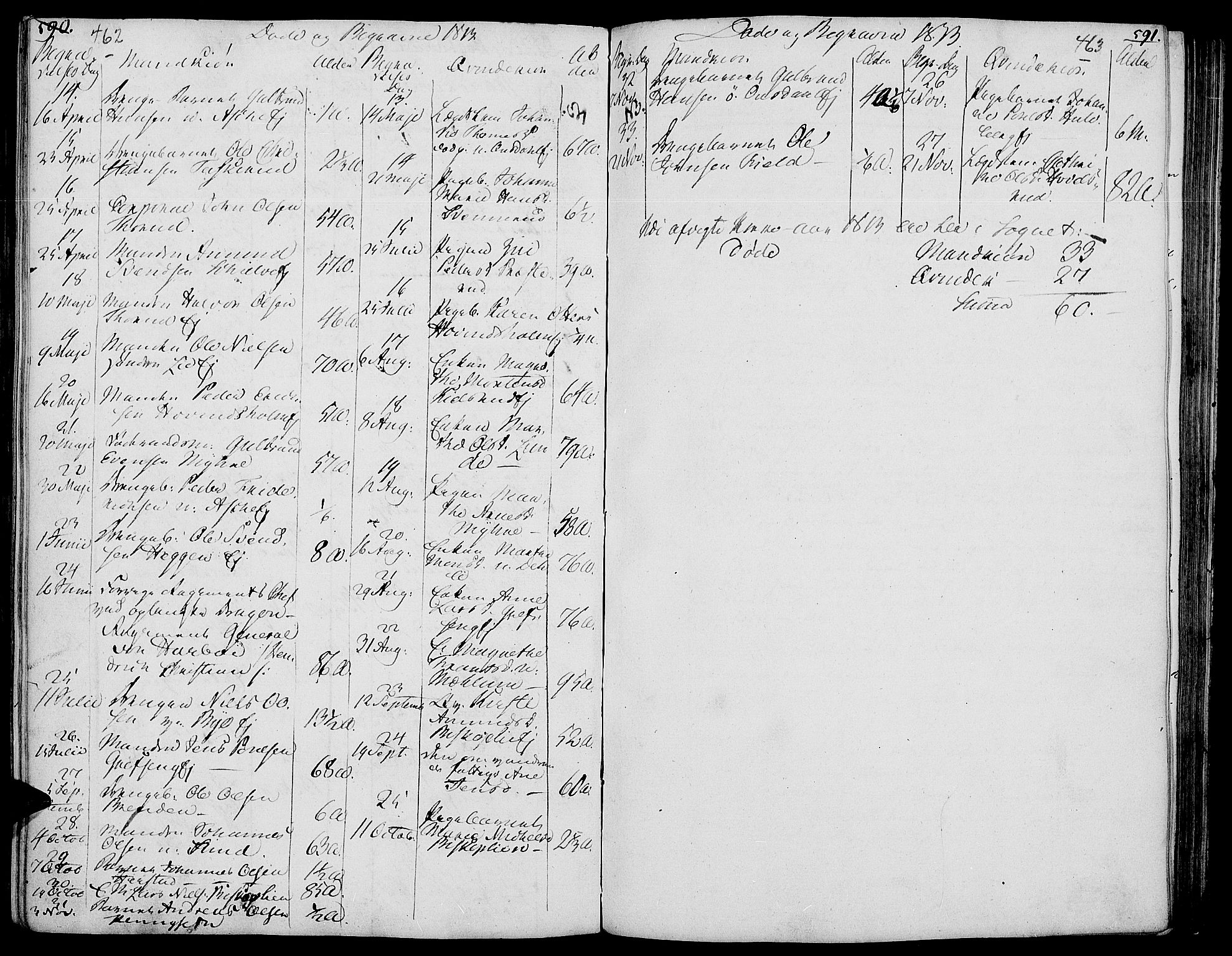 Nes prestekontor, Hedmark, AV/SAH-PREST-020/K/Ka/L0001: Parish register (official) no. 1, 1802-1814, p. 462-463