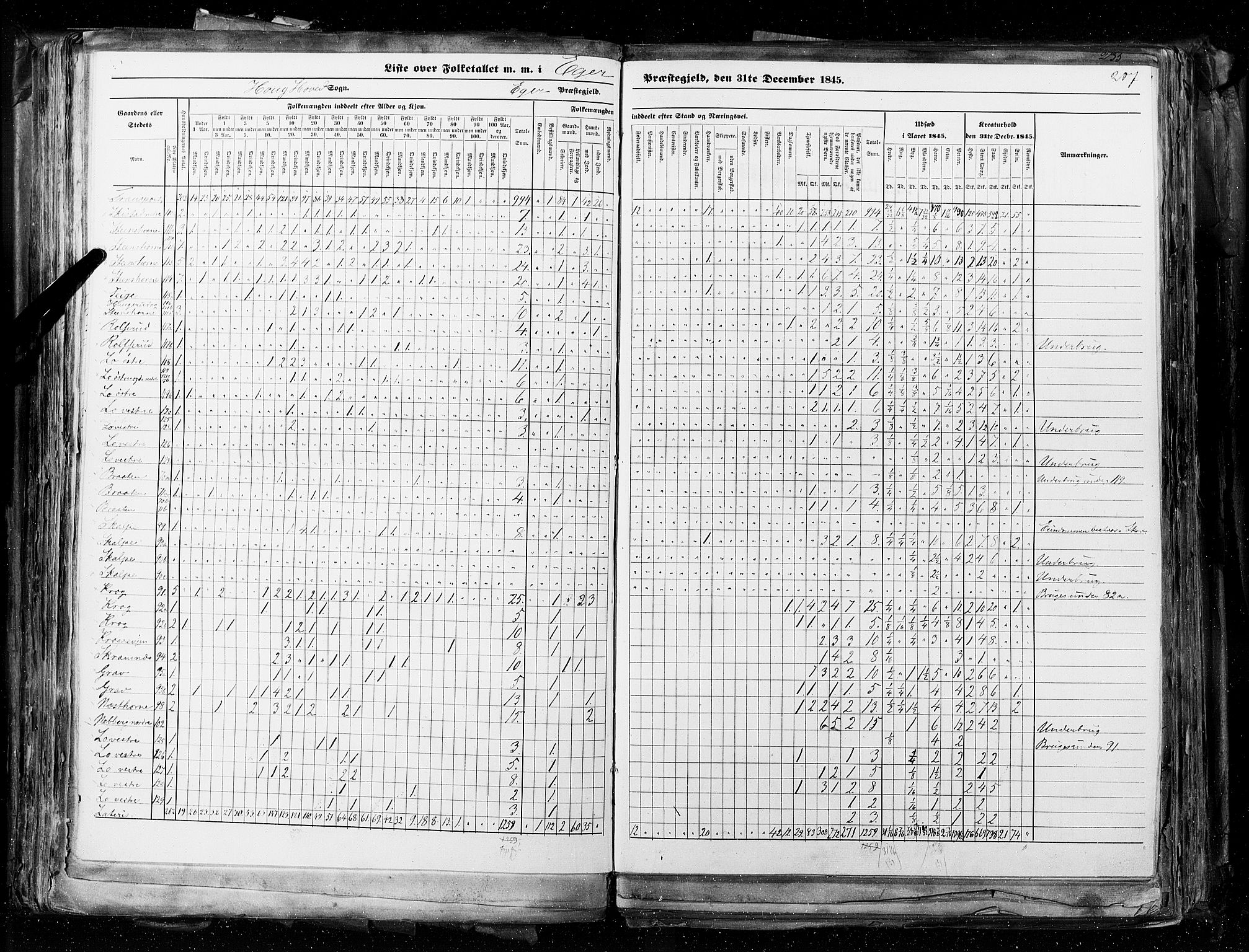 RA, Census 1845, vol. 4: Buskerud amt og Jarlsberg og Larvik amt, 1845, p. 207