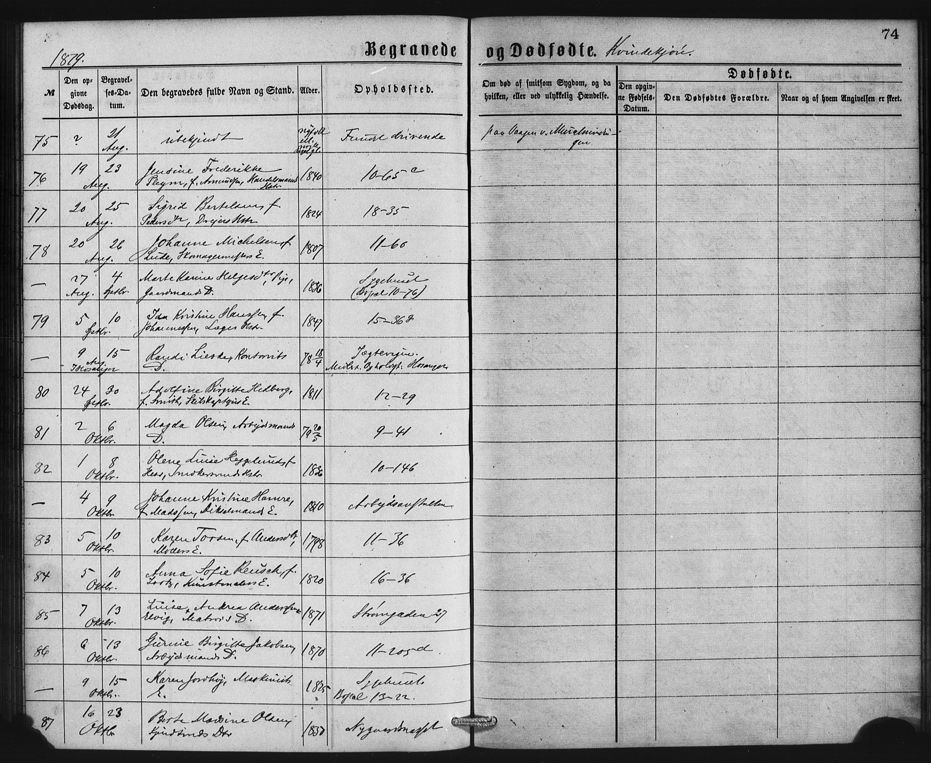 Domkirken sokneprestembete, AV/SAB-A-74801/H/Haa: Parish register (official) no. E 4, 1877-1881, p. 74