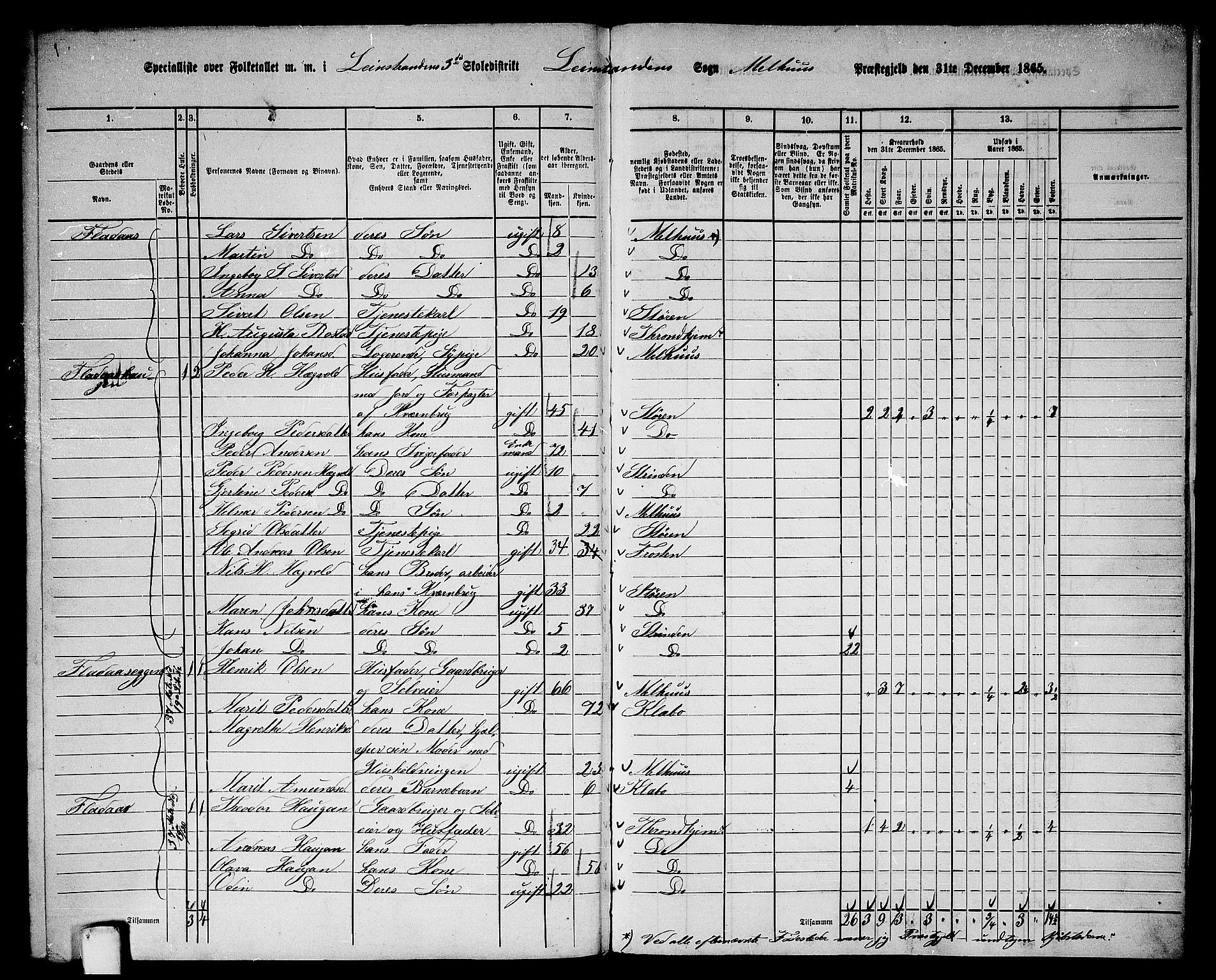 RA, 1865 census for Melhus, 1865, p. 246