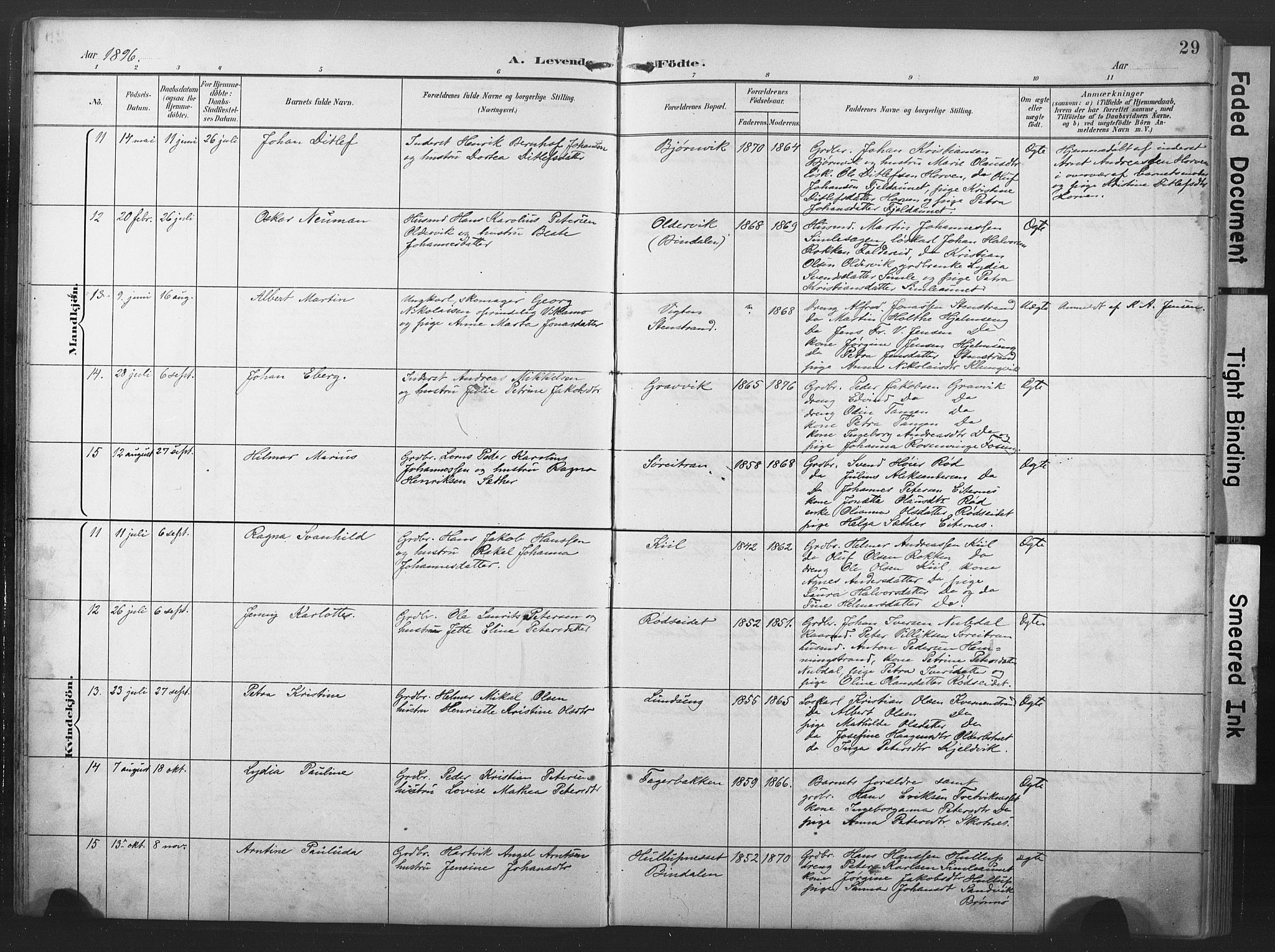 Ministerialprotokoller, klokkerbøker og fødselsregistre - Nord-Trøndelag, AV/SAT-A-1458/789/L0706: Parish register (copy) no. 789C01, 1888-1931, p. 29