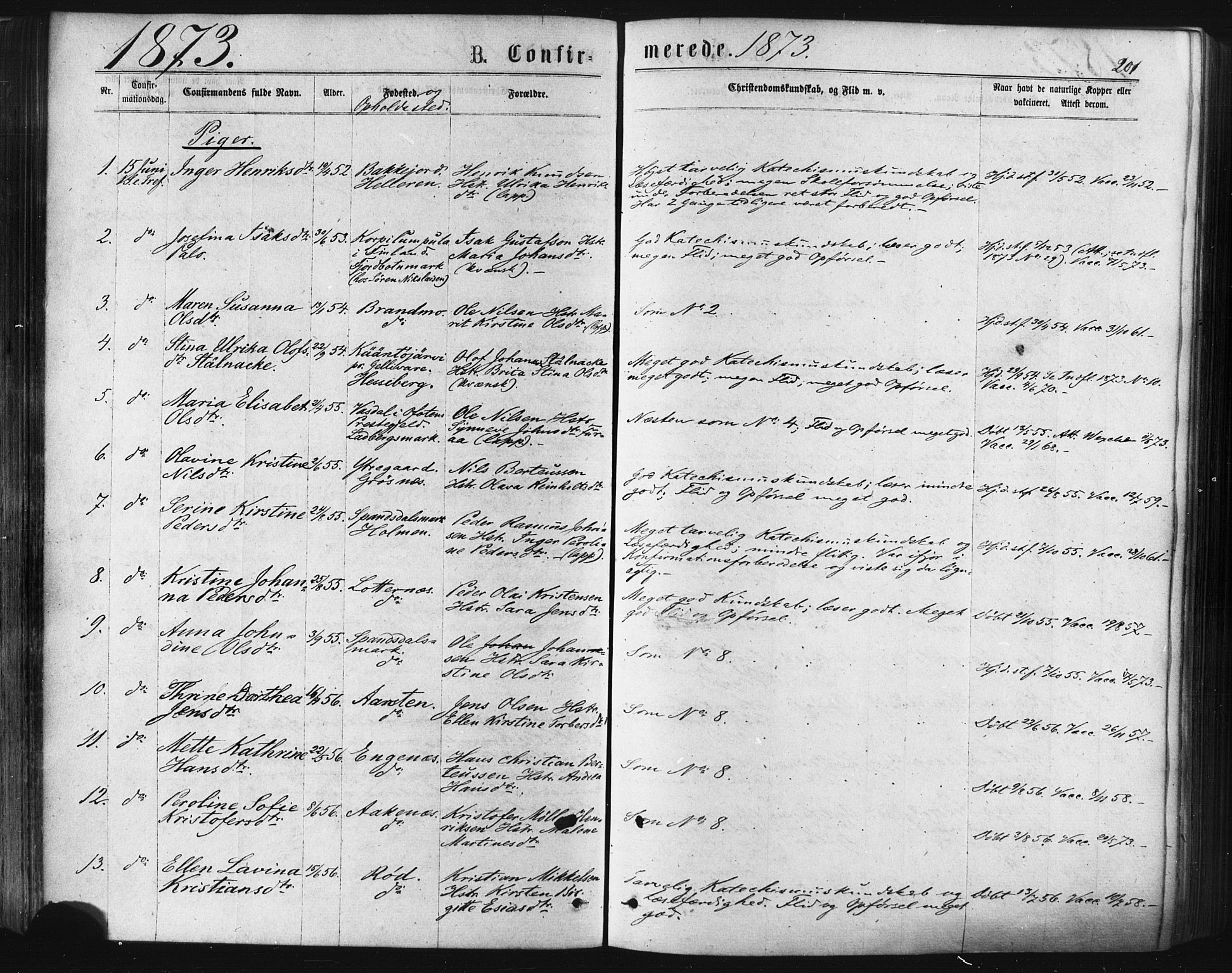 Ibestad sokneprestembete, SATØ/S-0077/H/Ha/Haa/L0010kirke: Parish register (official) no. 10, 1869-1879, p. 201