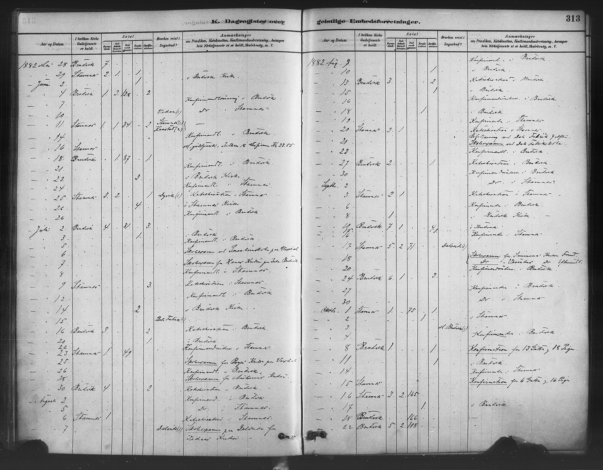 Bruvik Sokneprestembete, AV/SAB-A-74701/H/Haa: Parish register (official) no. B 1, 1878-1904, p. 313