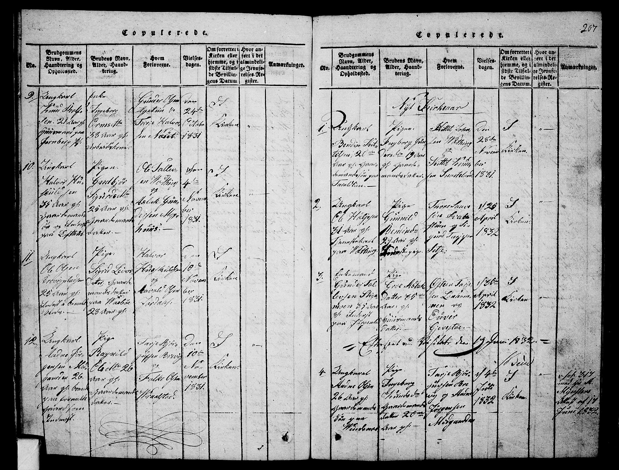 Fyresdal kirkebøker, SAKO/A-263/G/Ga/L0001: Parish register (copy) no. I 1, 1816-1840, p. 207