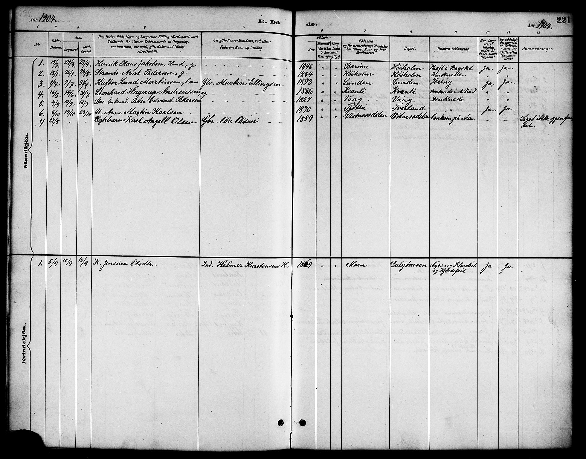 Ministerialprotokoller, klokkerbøker og fødselsregistre - Nordland, AV/SAT-A-1459/819/L0277: Parish register (copy) no. 819C03, 1888-1917, p. 221