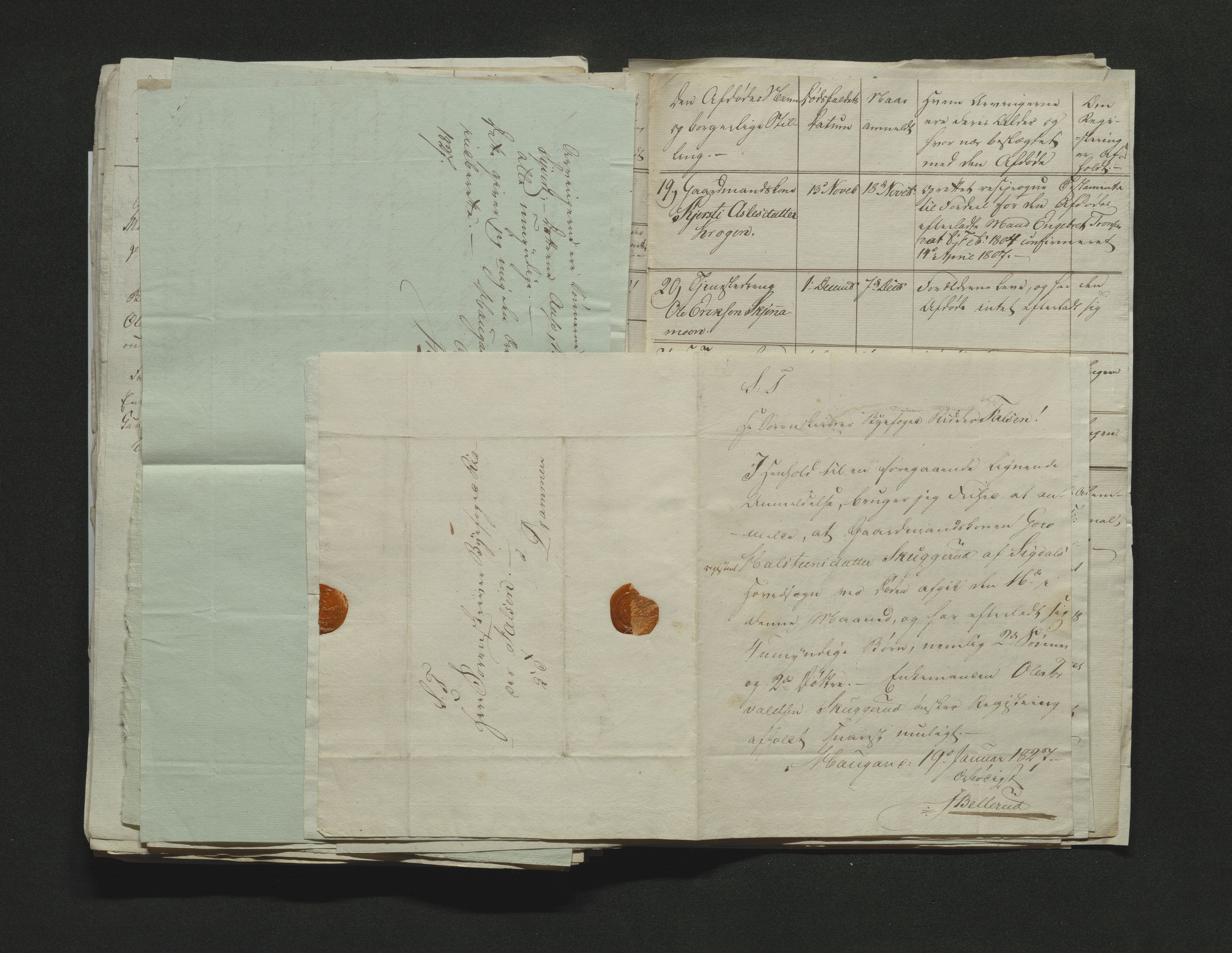 Eiker, Modum og Sigdal sorenskriveri, AV/SAKO-A-123/H/Ha/Hab/L0002: Dødsfallsmeldinger, 1823-1829, p. 218