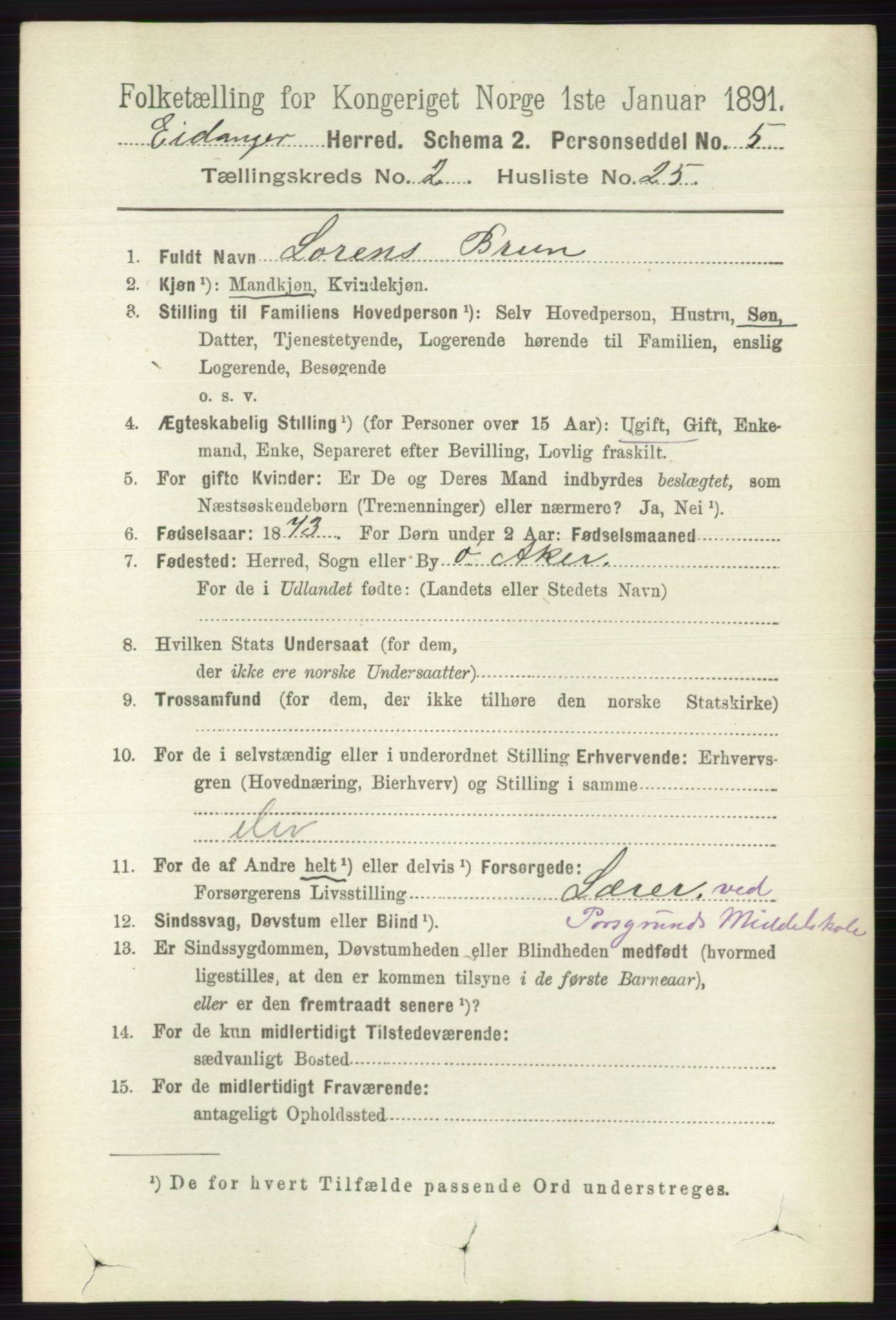 RA, 1891 census for 0813 Eidanger, 1891, p. 1033