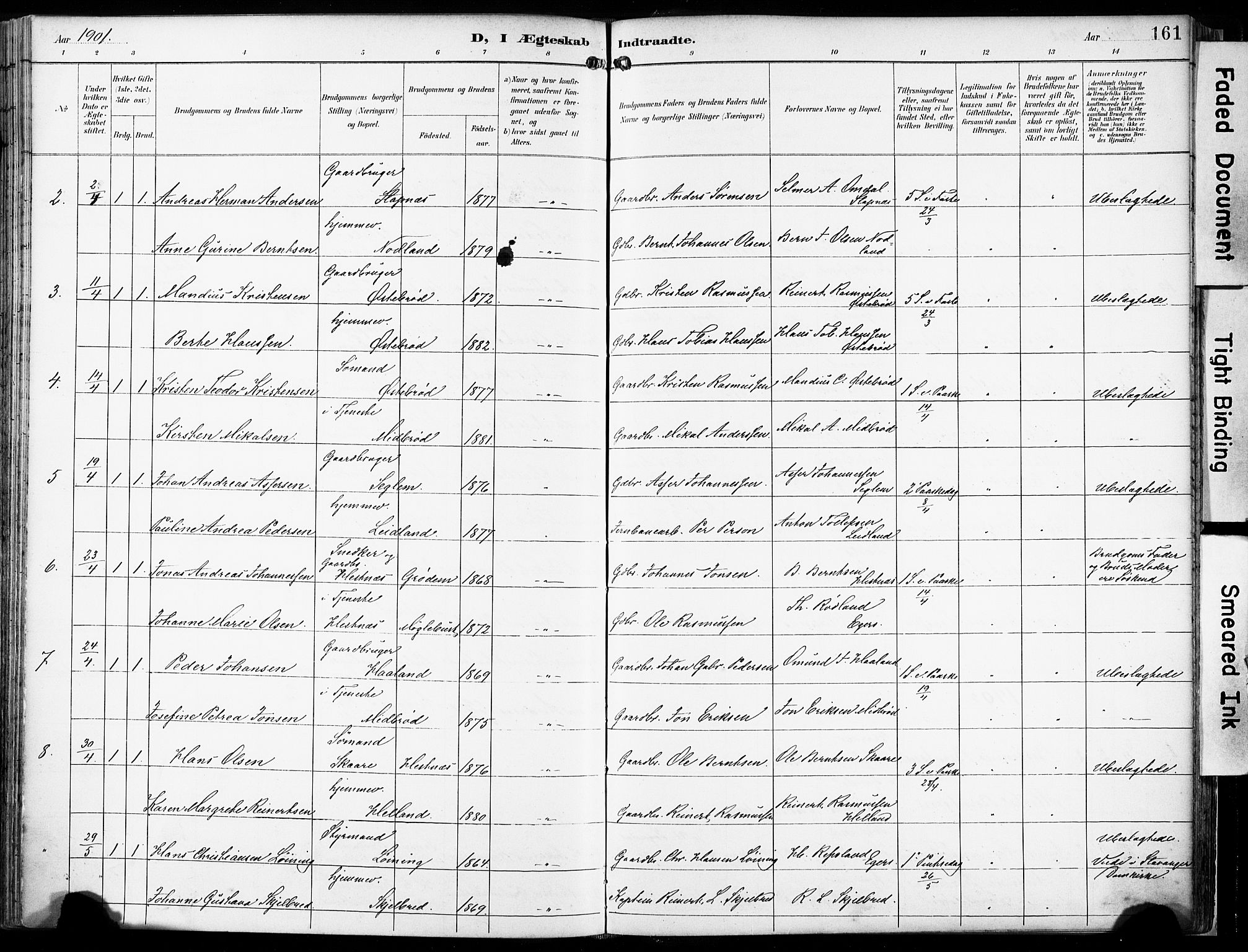 Eigersund sokneprestkontor, SAST/A-101807/S08/L0018: Parish register (official) no. A 17, 1892-1905, p. 161