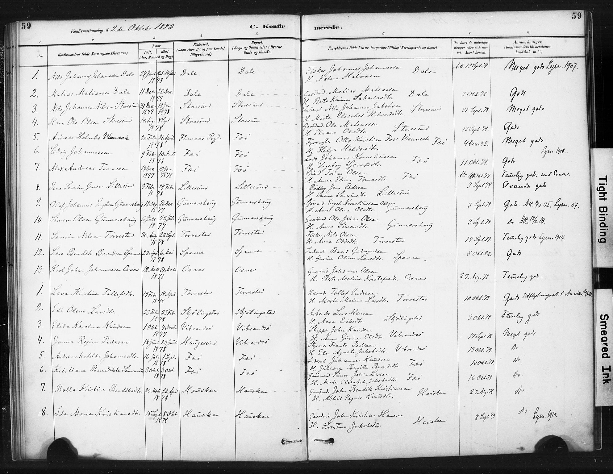 Torvastad sokneprestkontor, AV/SAST-A -101857/H/Ha/Haa/L0015: Parish register (official) no. A 14, 1888-1899, p. 59