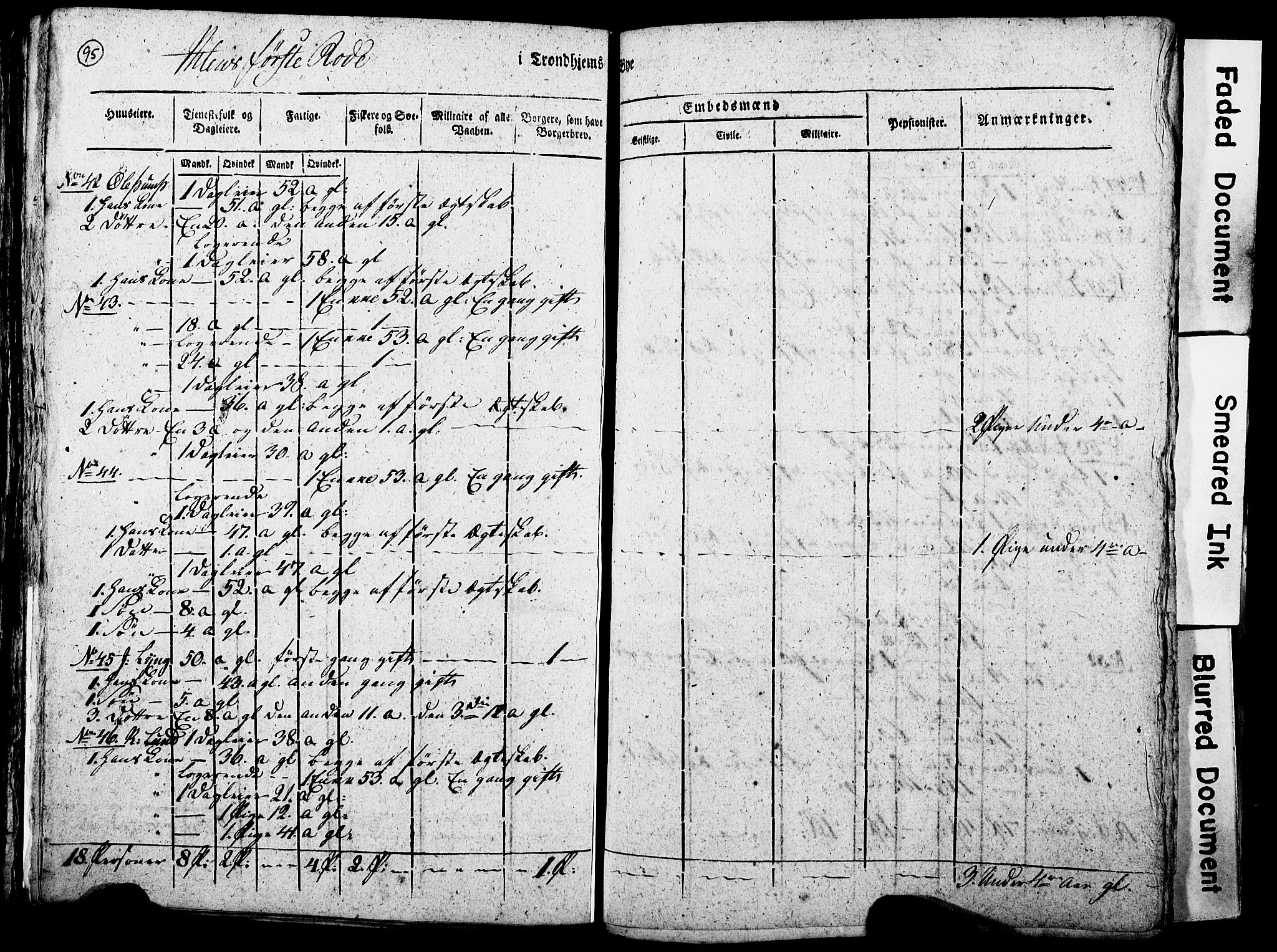 RA, Census 1815 for Trondheim, 1815, p. 295