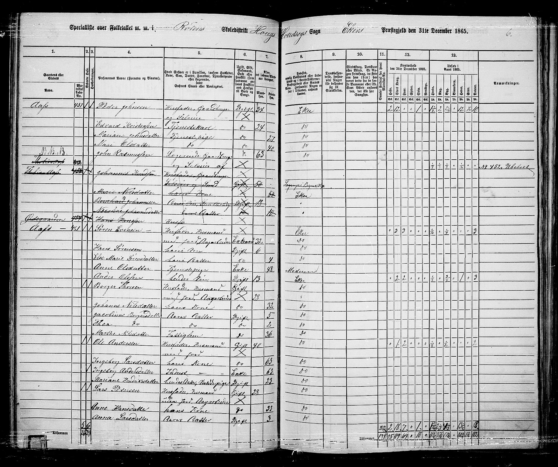 RA, 1865 census for Eiker, 1865, p. 110