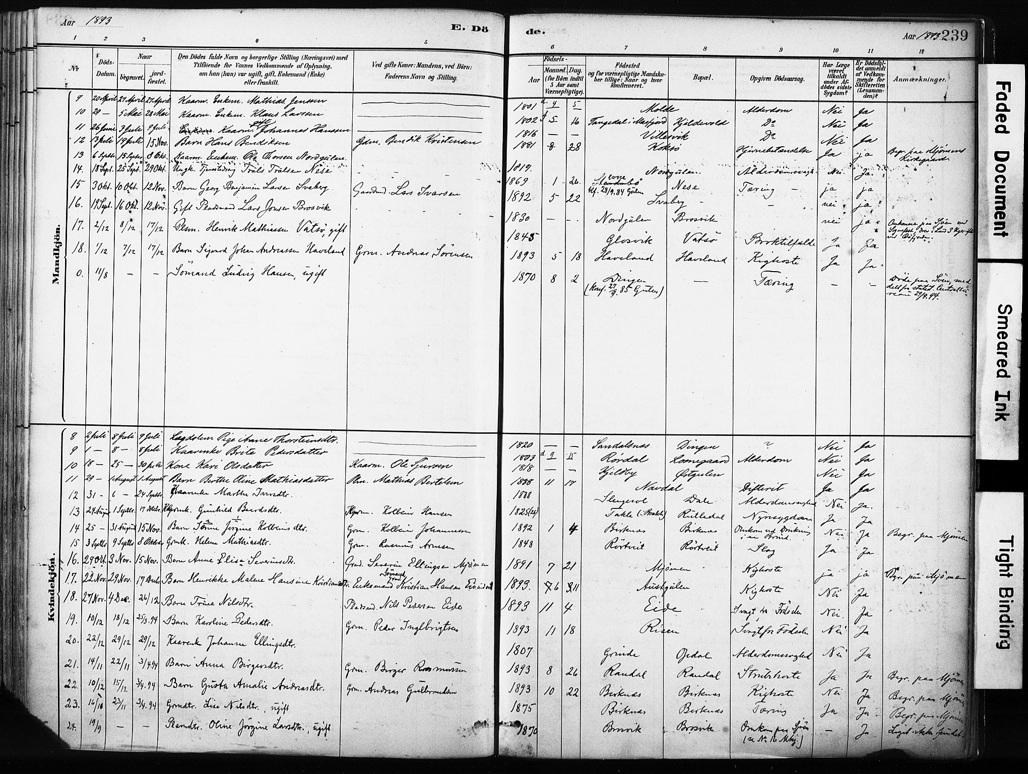 Gulen sokneprestembete, AV/SAB-A-80201/H/Haa/Haab/L0001: Parish register (official) no. B 1, 1881-1905, p. 239