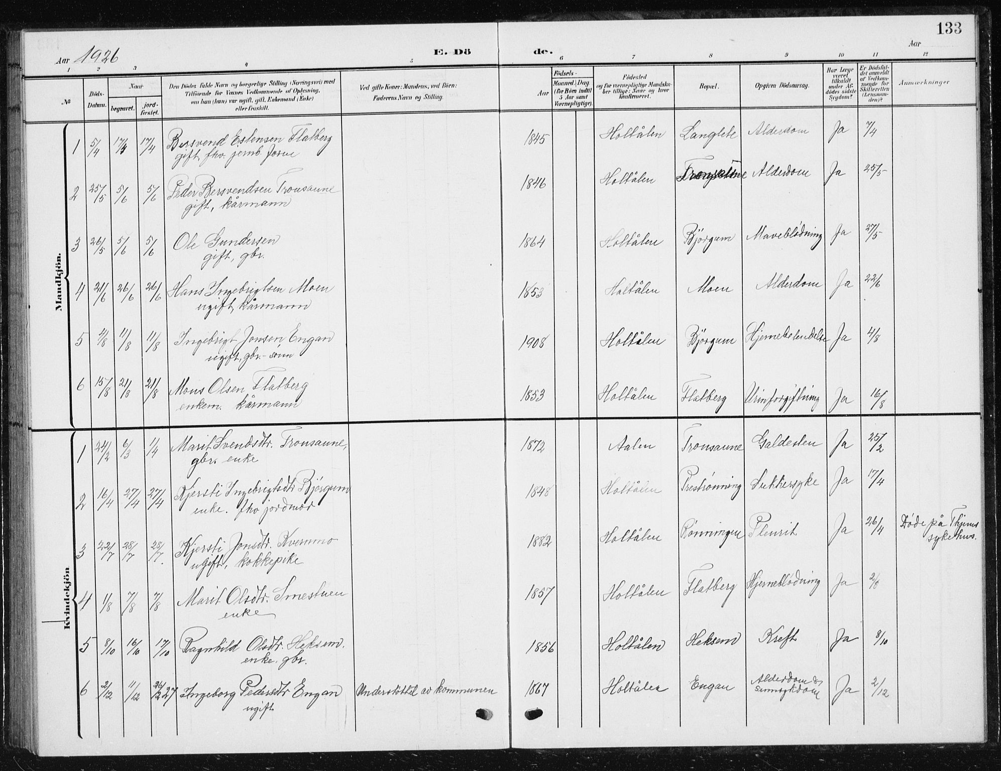 Ministerialprotokoller, klokkerbøker og fødselsregistre - Sør-Trøndelag, SAT/A-1456/685/L0979: Parish register (copy) no. 685C04, 1908-1933, p. 133