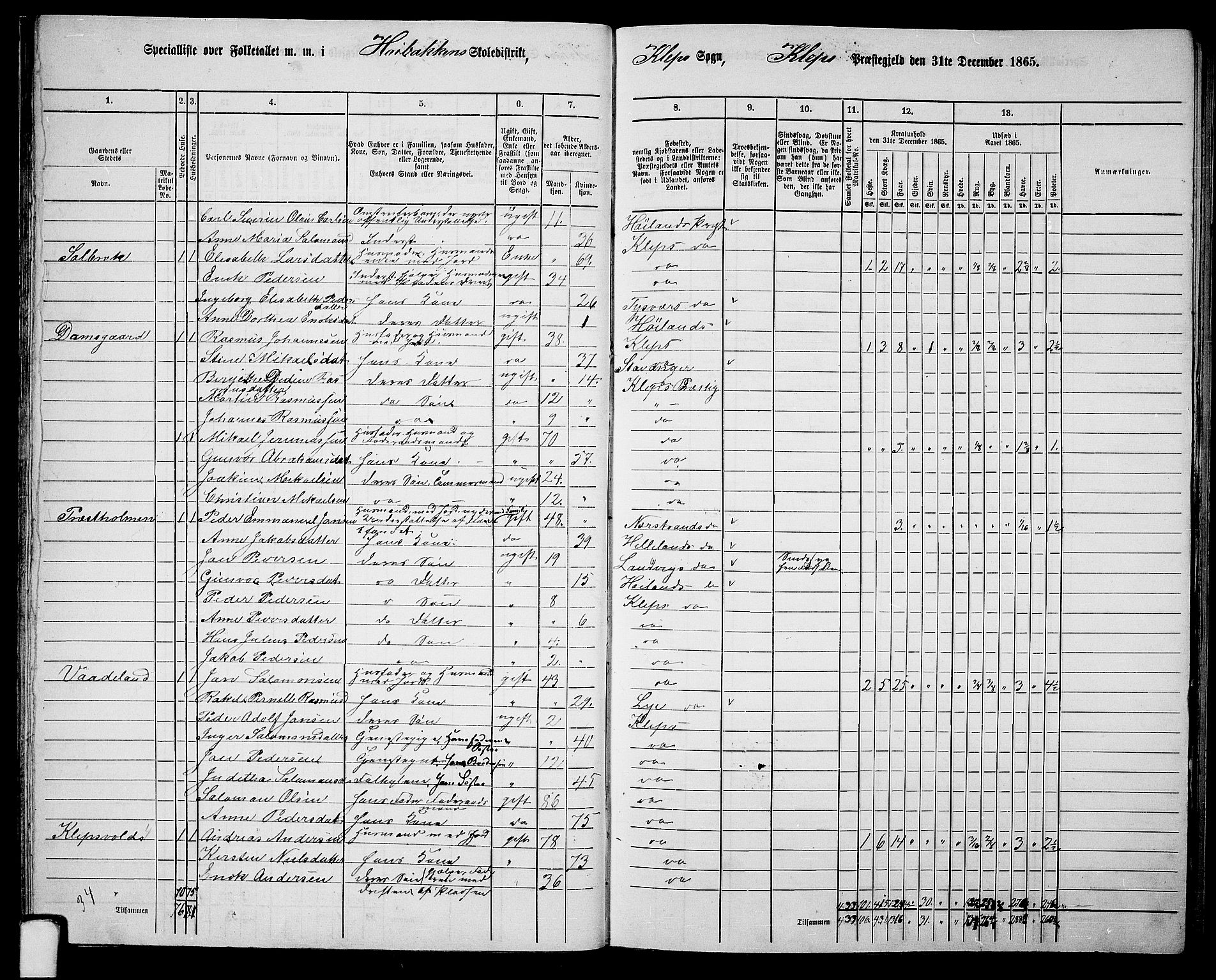 RA, 1865 census for Klepp, 1865, p. 26