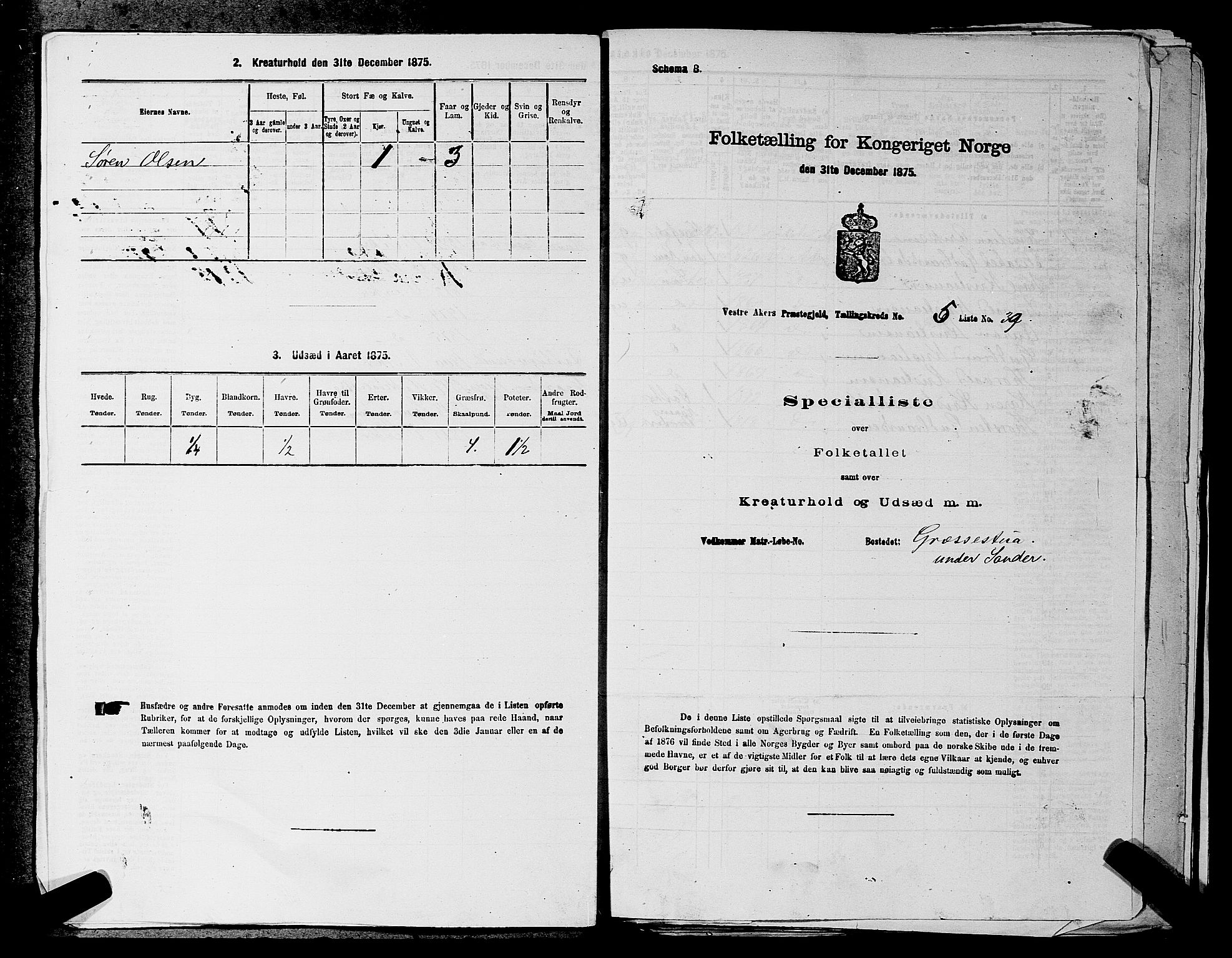 RA, 1875 census for 0218aP Vestre Aker, 1875, p. 1016