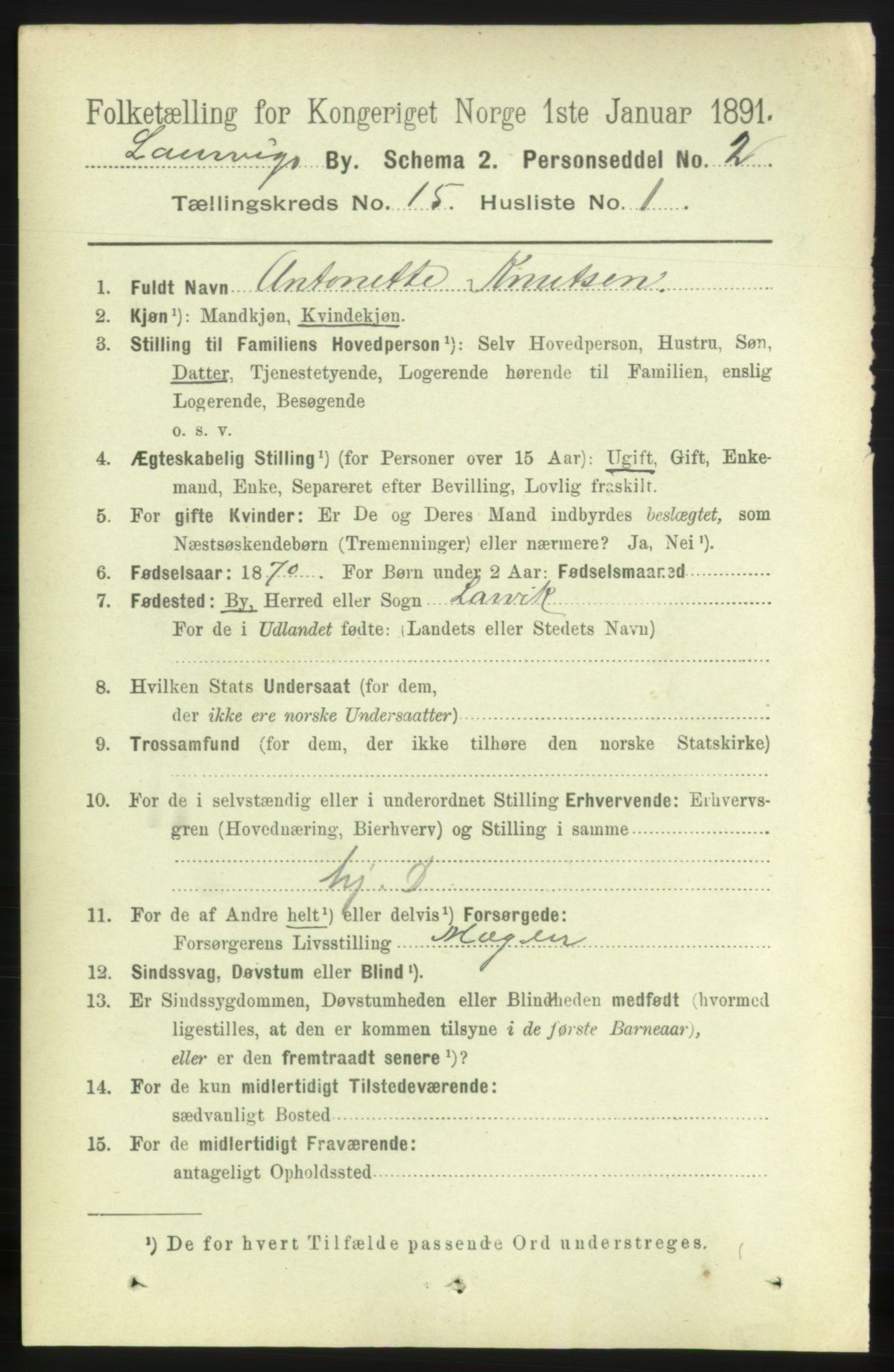 RA, 1891 census for 0707 Larvik, 1891, p. 11330