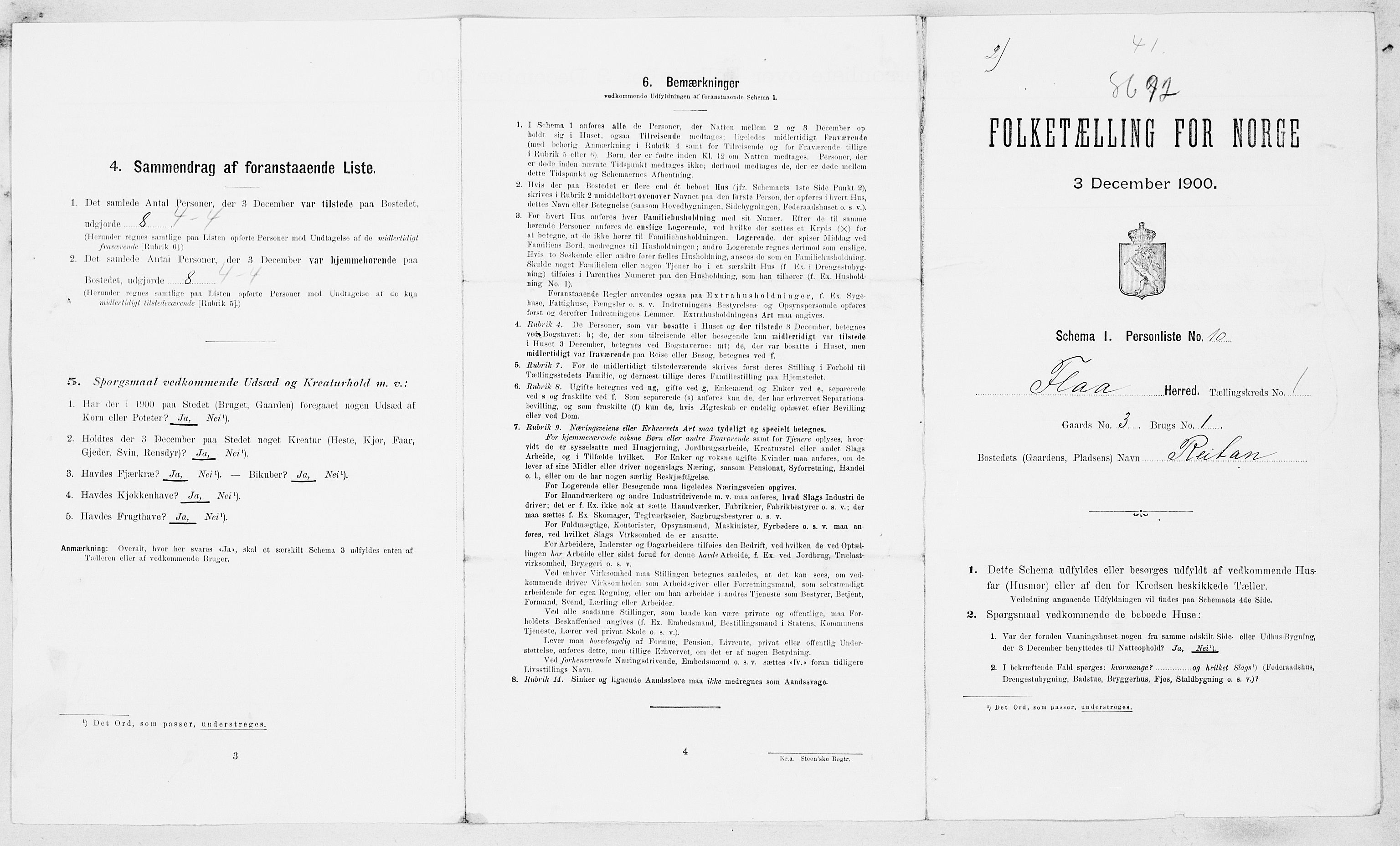 SAT, 1900 census for Flå, 1900, p. 10