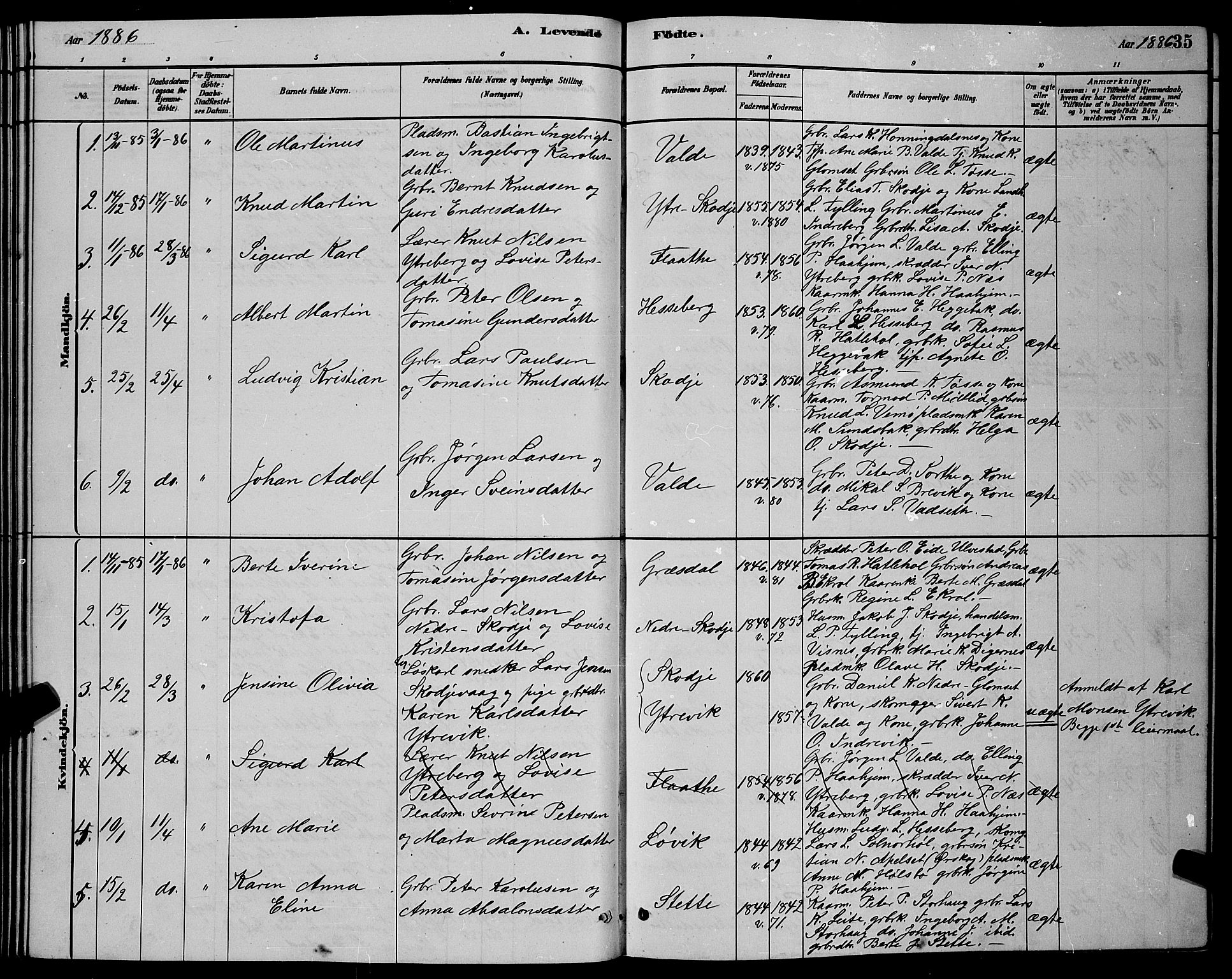 Ministerialprotokoller, klokkerbøker og fødselsregistre - Møre og Romsdal, AV/SAT-A-1454/524/L0365: Parish register (copy) no. 524C06, 1880-1899, p. 35