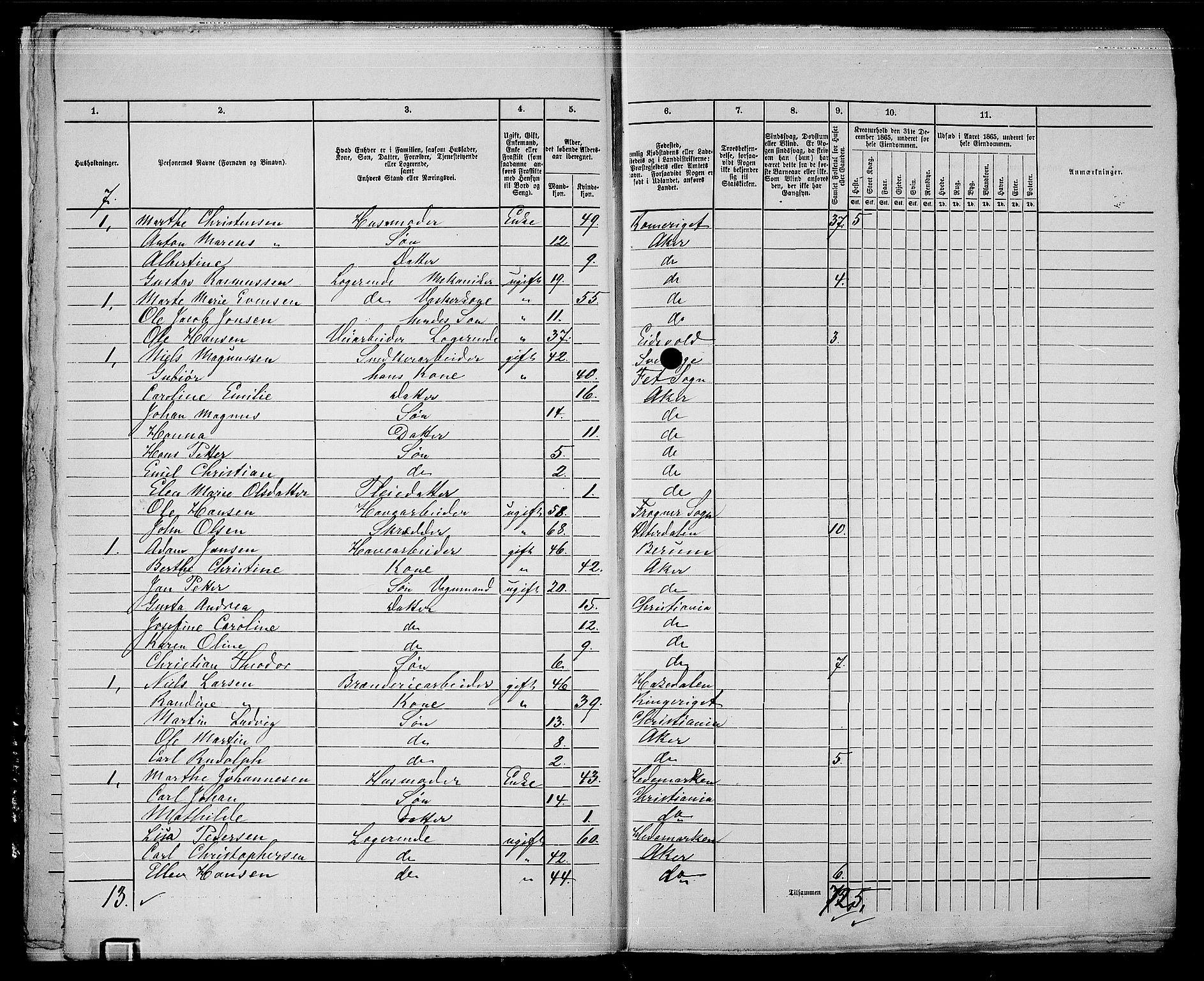 RA, 1865 census for Kristiania, 1865, p. 4911