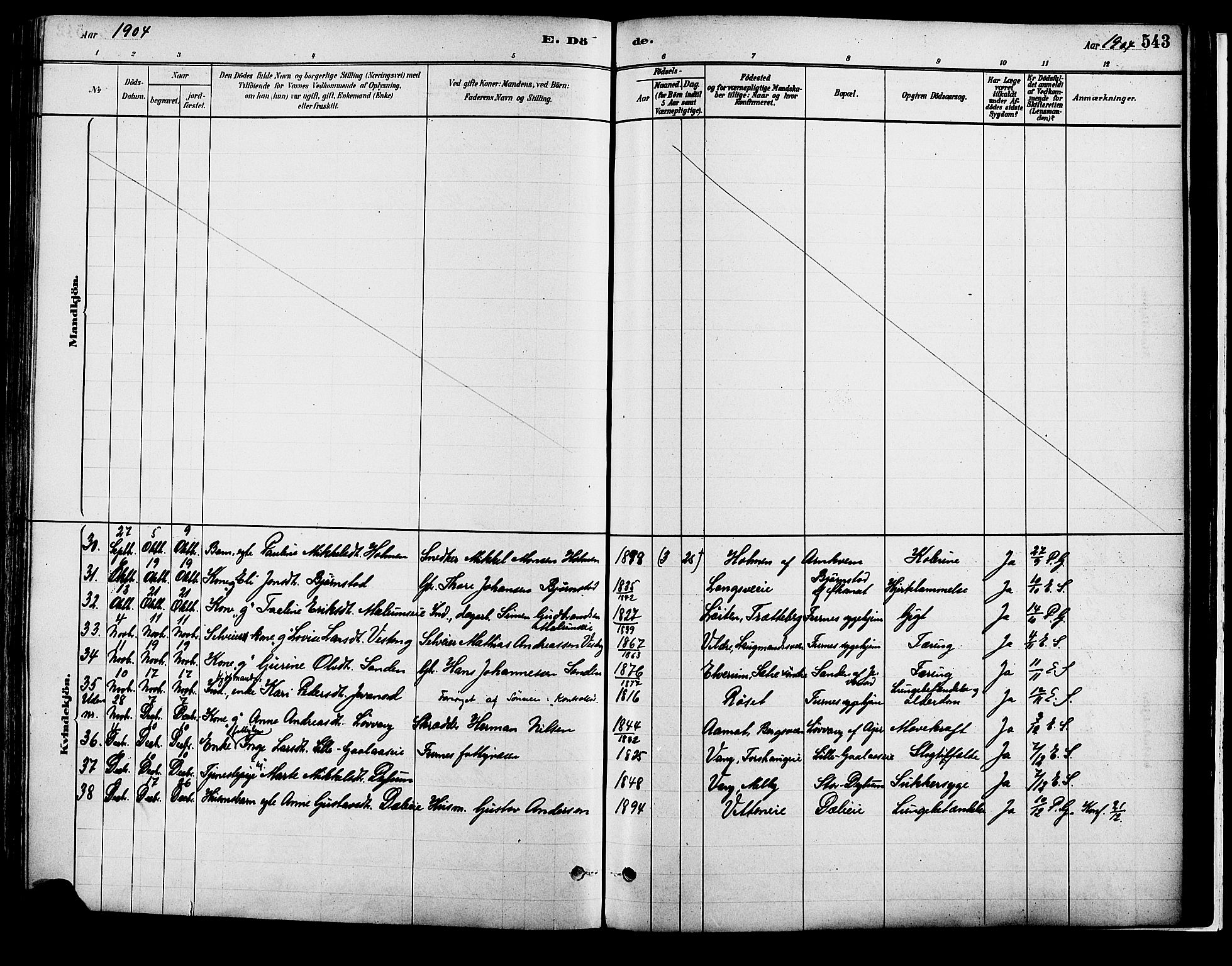 Vang prestekontor, Hedmark, AV/SAH-PREST-008/H/Ha/Haa/L0018B: Parish register (official) no. 18B, 1880-1906, p. 543