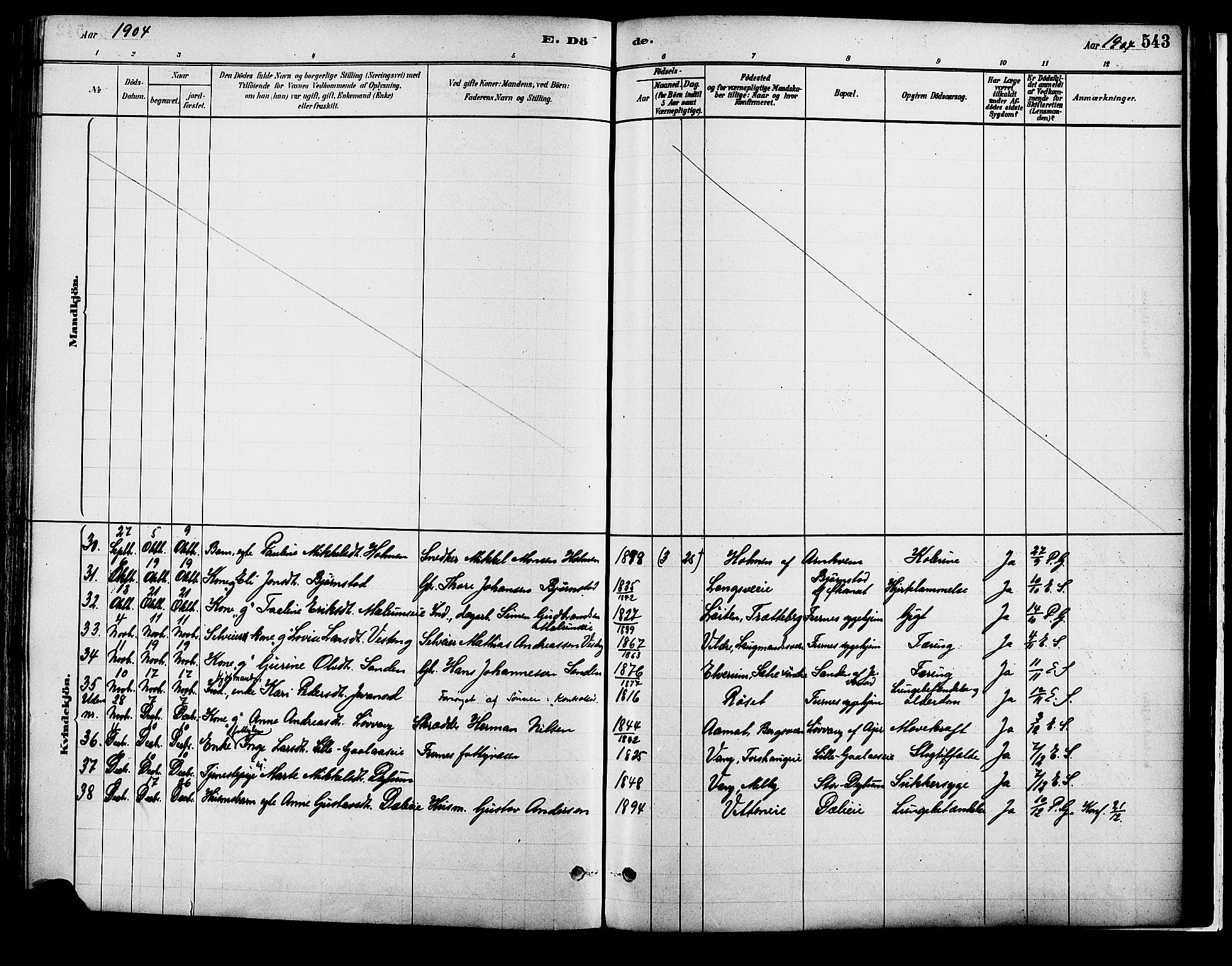 Vang prestekontor, Hedmark, SAH/PREST-008/H/Ha/Haa/L0018B: Parish register (official) no. 18B, 1880-1906, p. 543